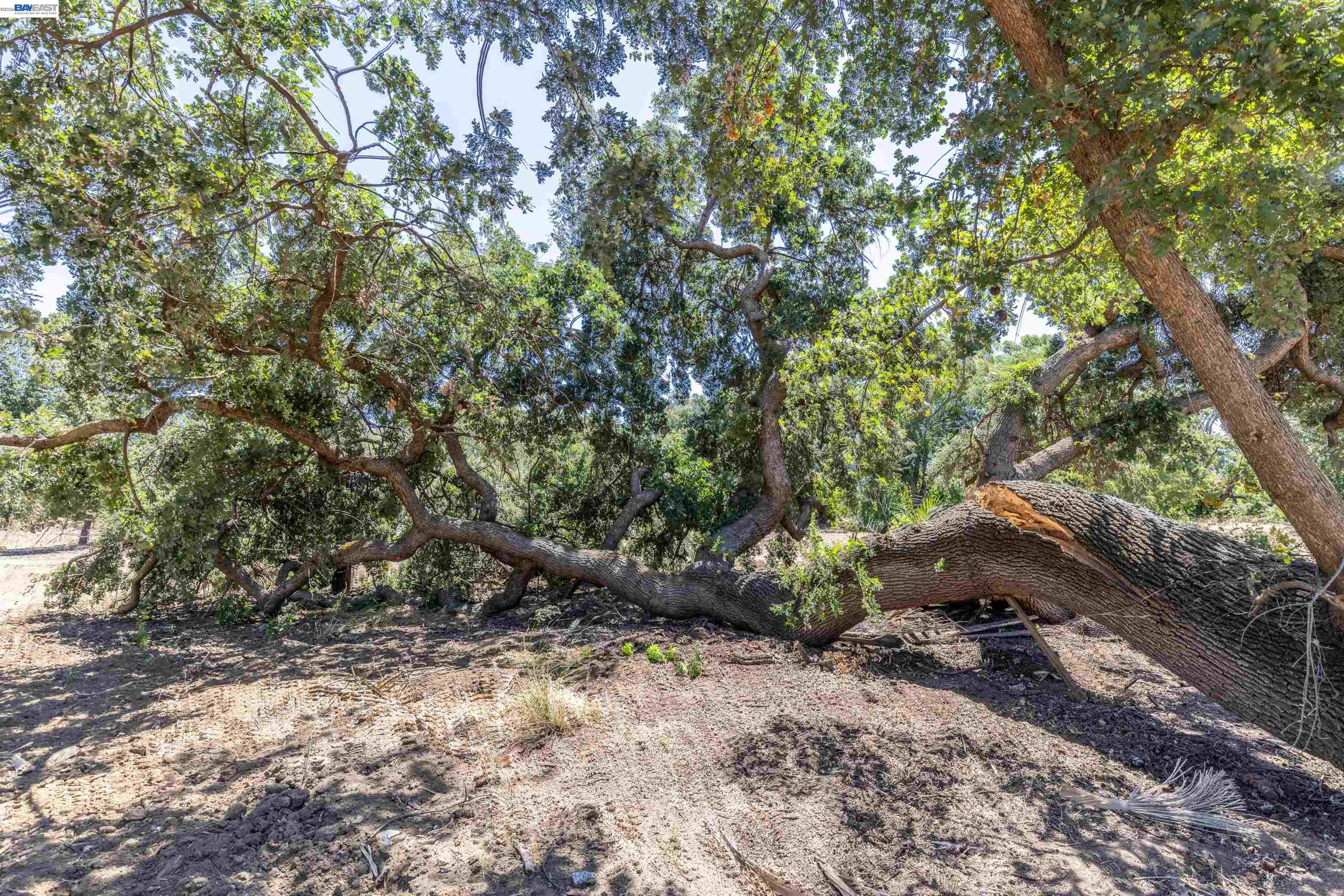 3515 Kellogg Creek Rd, Byron CA 94514 — photo 15