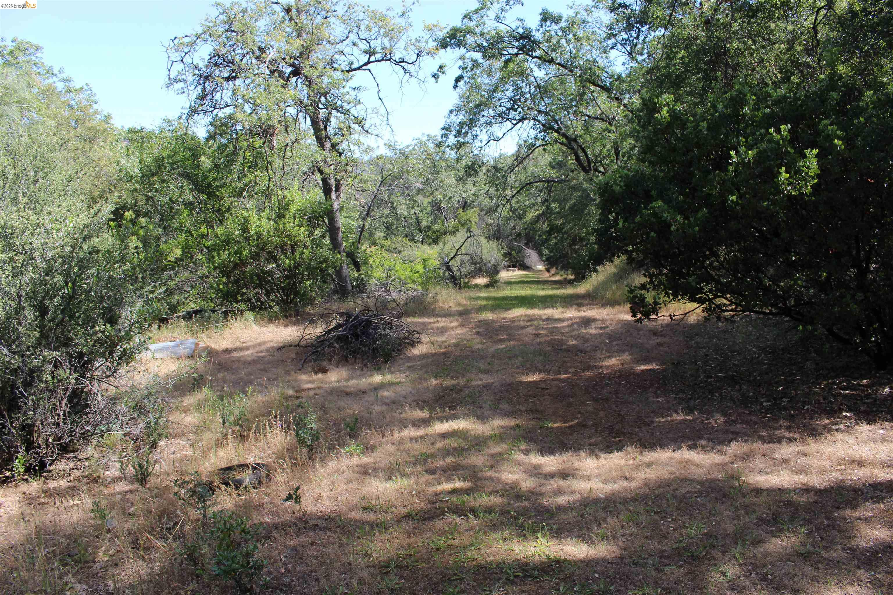 12000 Cattle Drive Trail, Columbia CA 95310 — photo 12