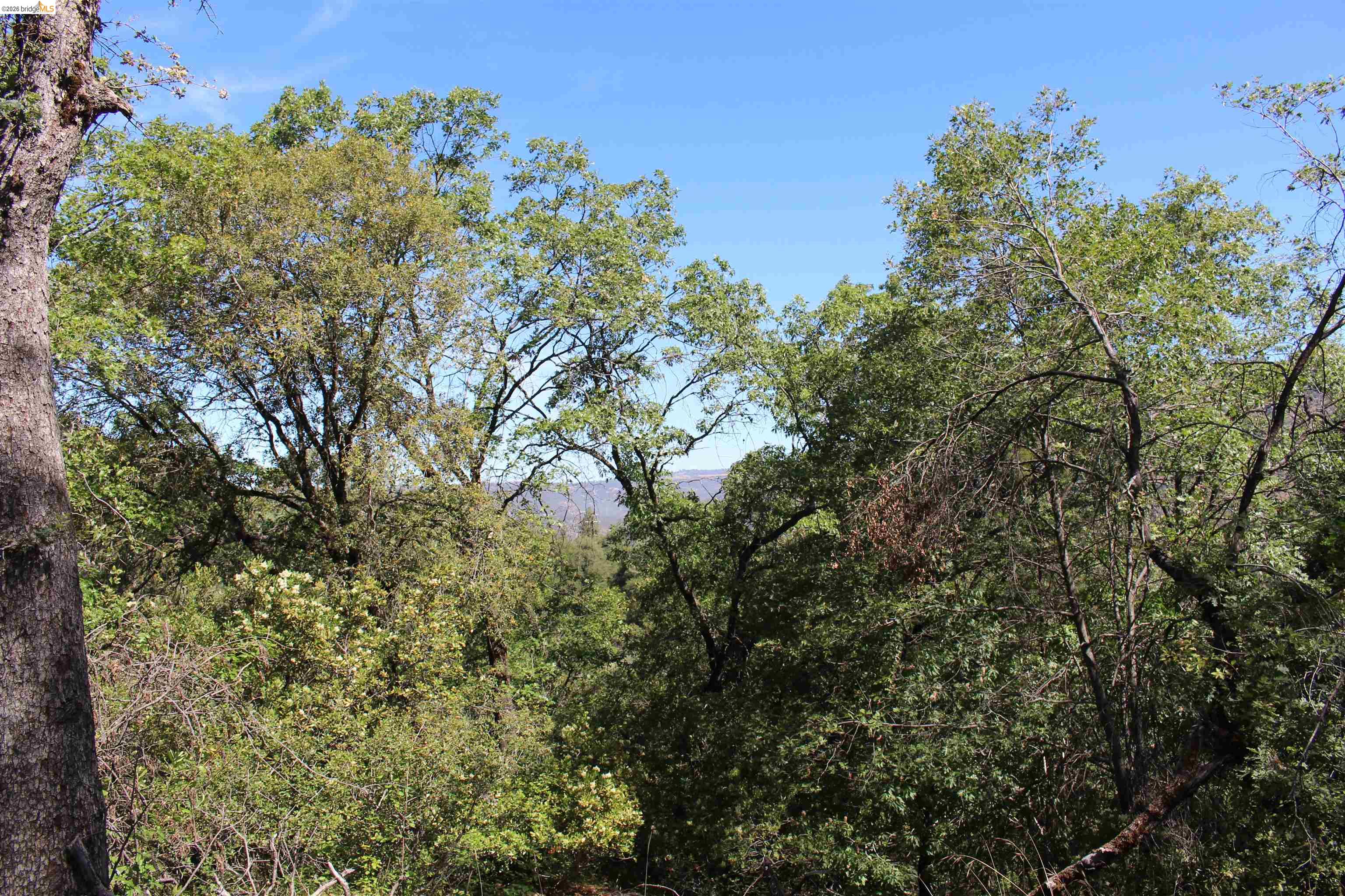 12000 Cattle Drive Trail, Columbia CA 95310 — photo 13