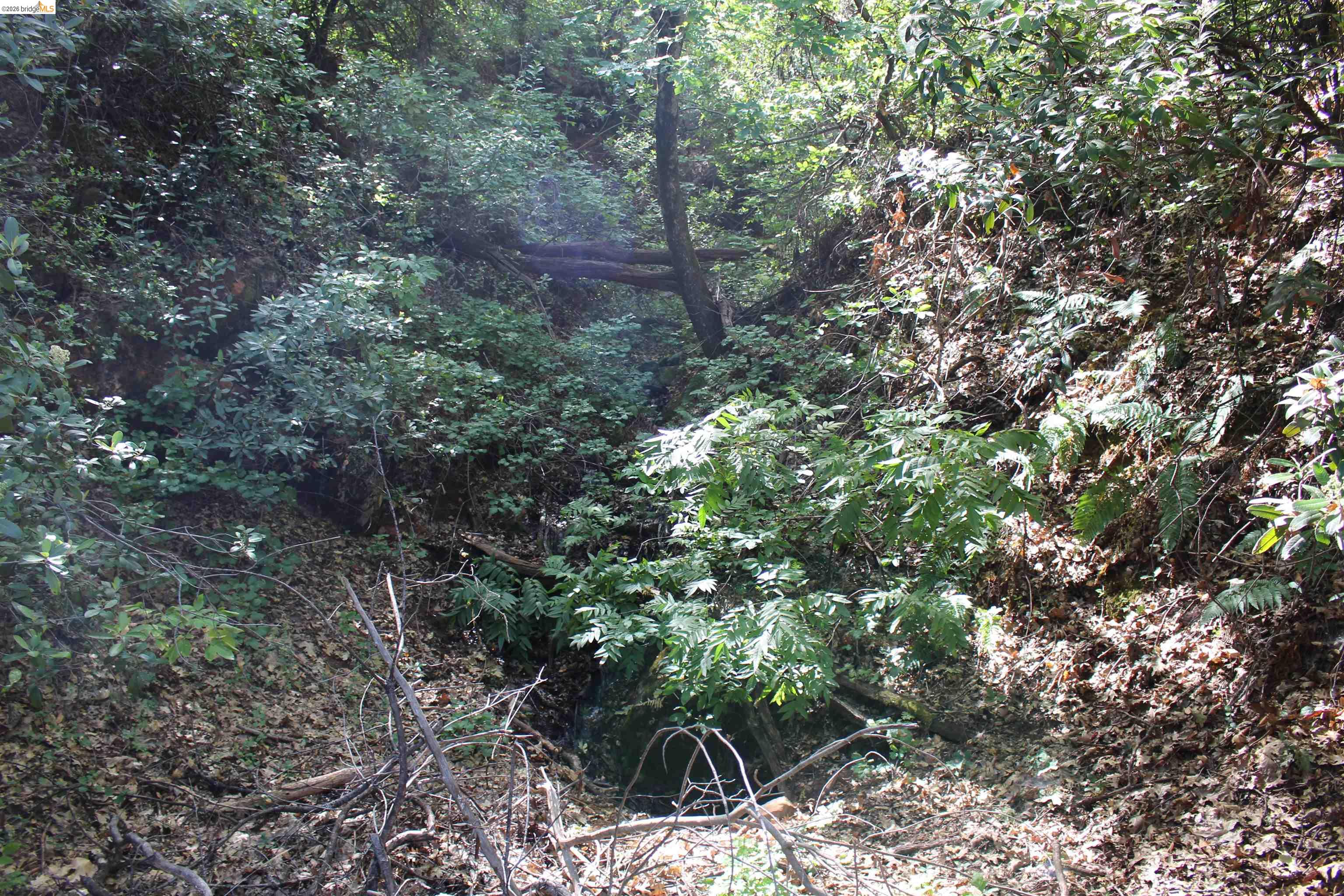 12000 Cattle Drive Trail, Columbia CA 95310 — photo 14