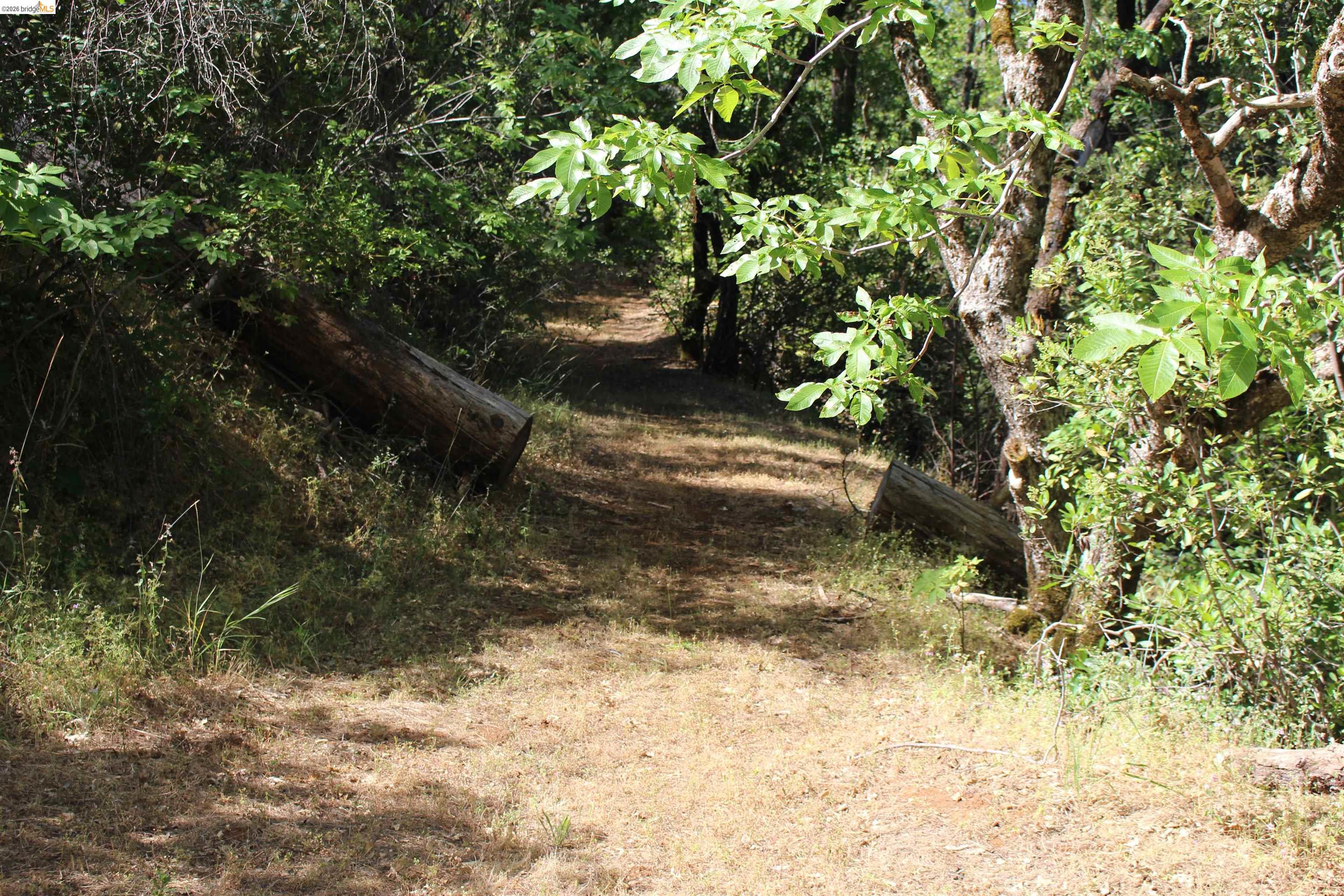 12000 Cattle Drive Trail, Columbia CA 95310 — photo 16