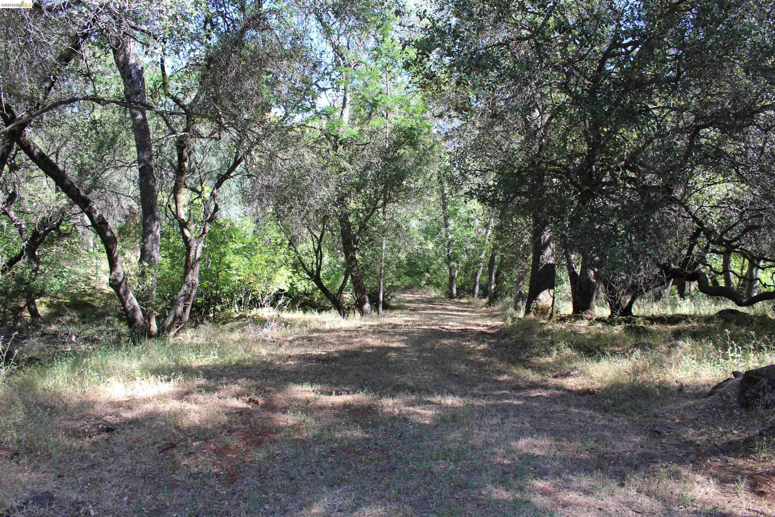 12000 Cattle Drive Trail, Columbia CA 95310 — photo 4