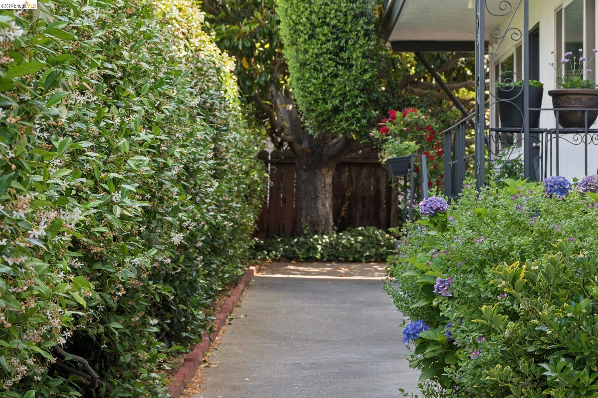 Photo #3: 41140137 Listing: Photo #3