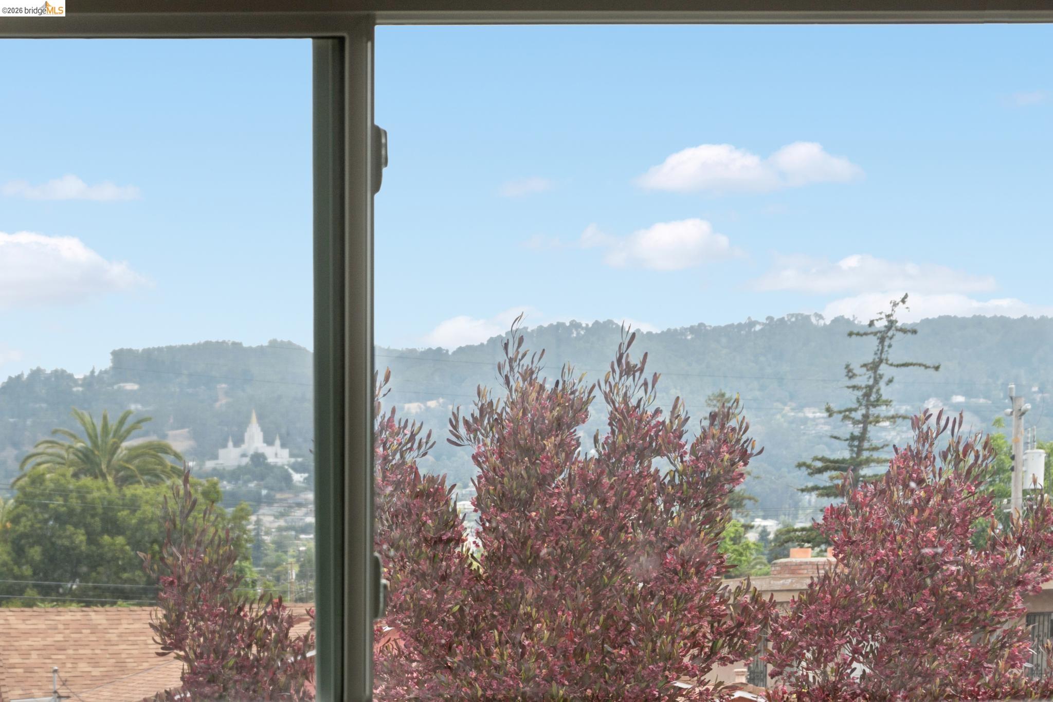 Photo #26: 41140137 Listing: Photo #26