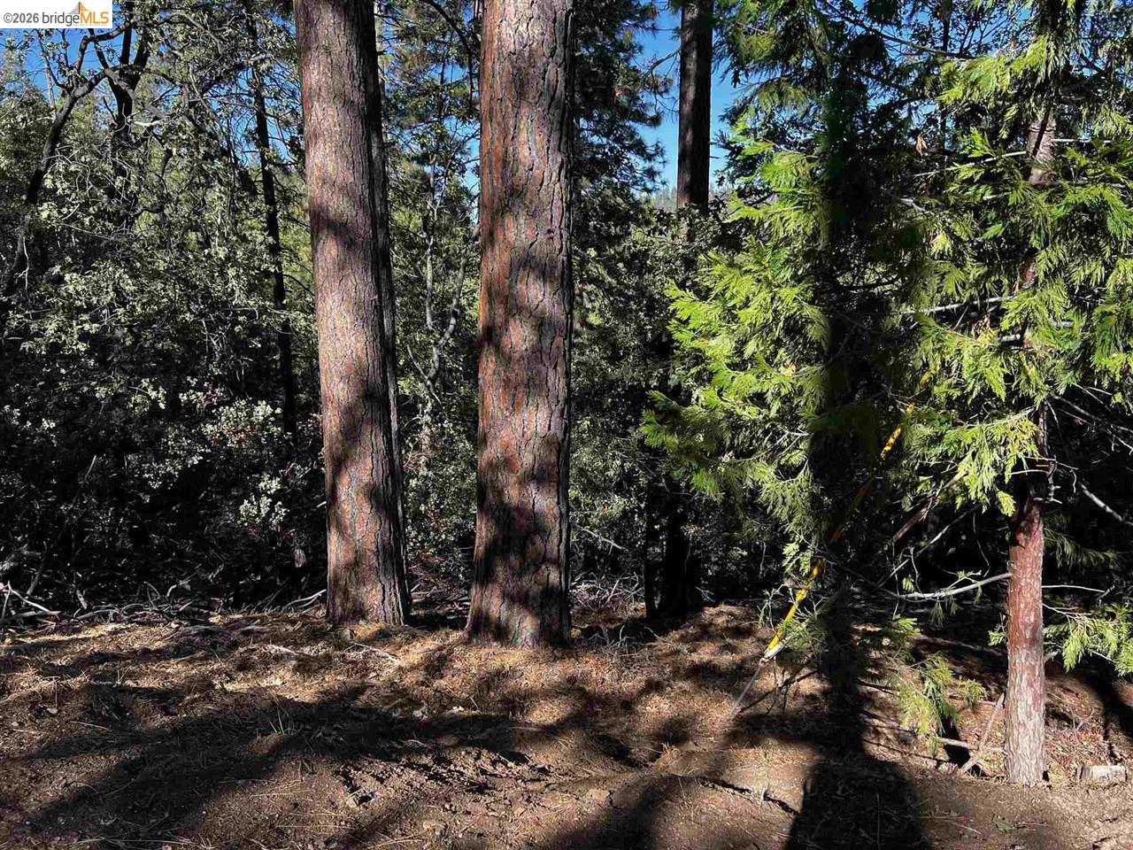 23804 S Oxbow Lane, Sonora CA 95370 — photo 30
