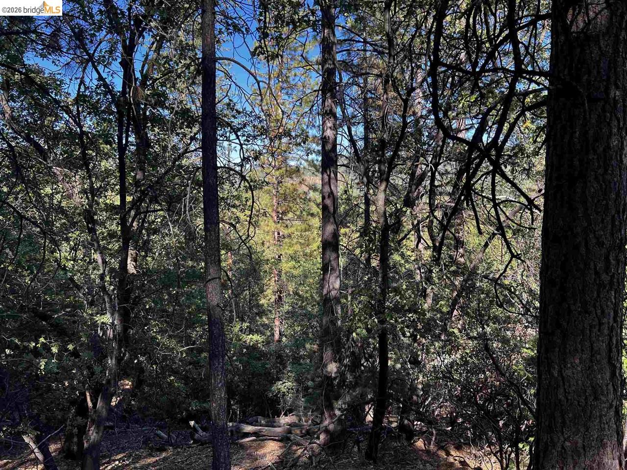 23804 S Oxbow Lane, Sonora CA 95370 — photo 33