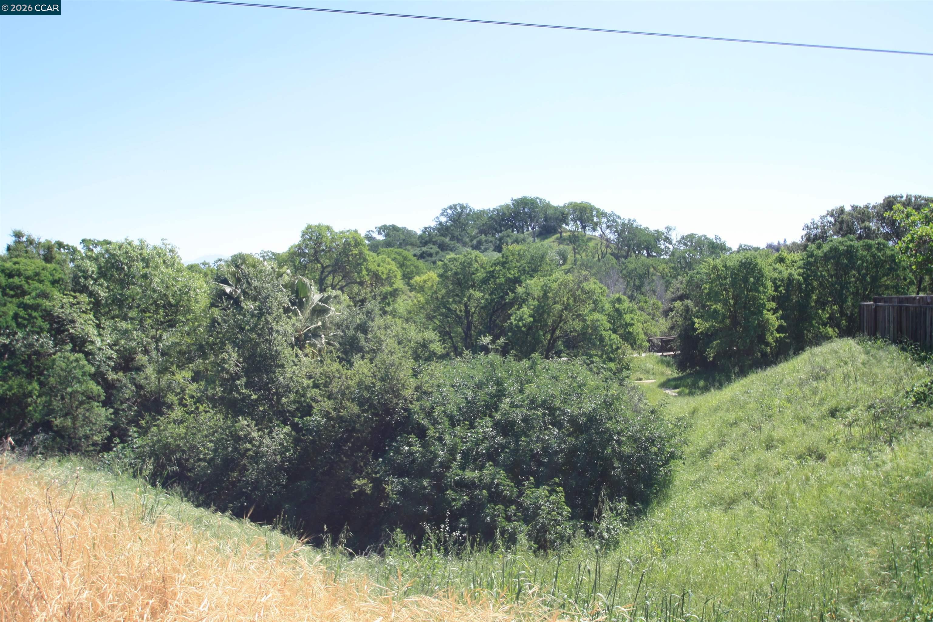 Photo #41: 41140225 Listing: Photo #41