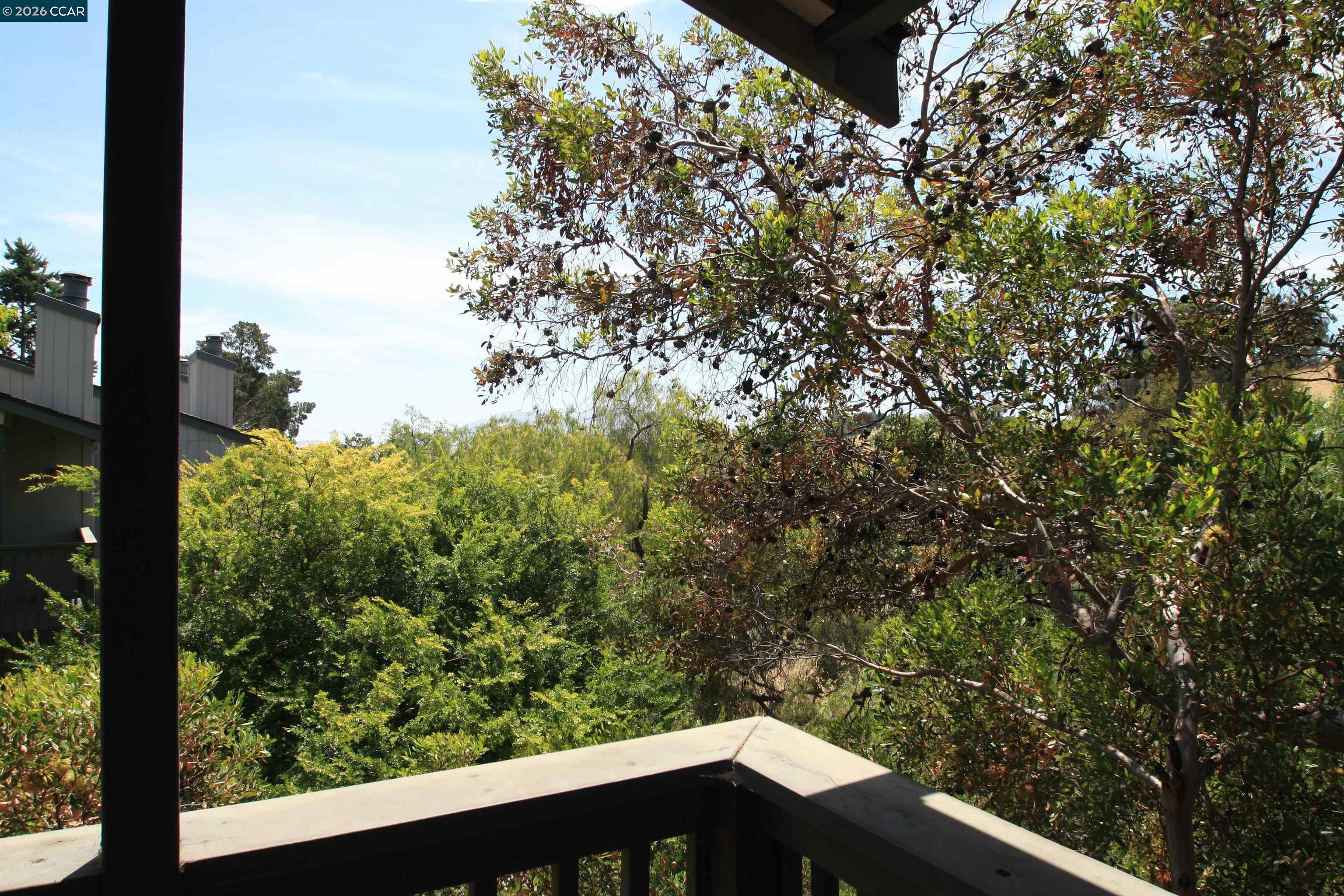 Photo #9: 41140225 Listing: Photo #9