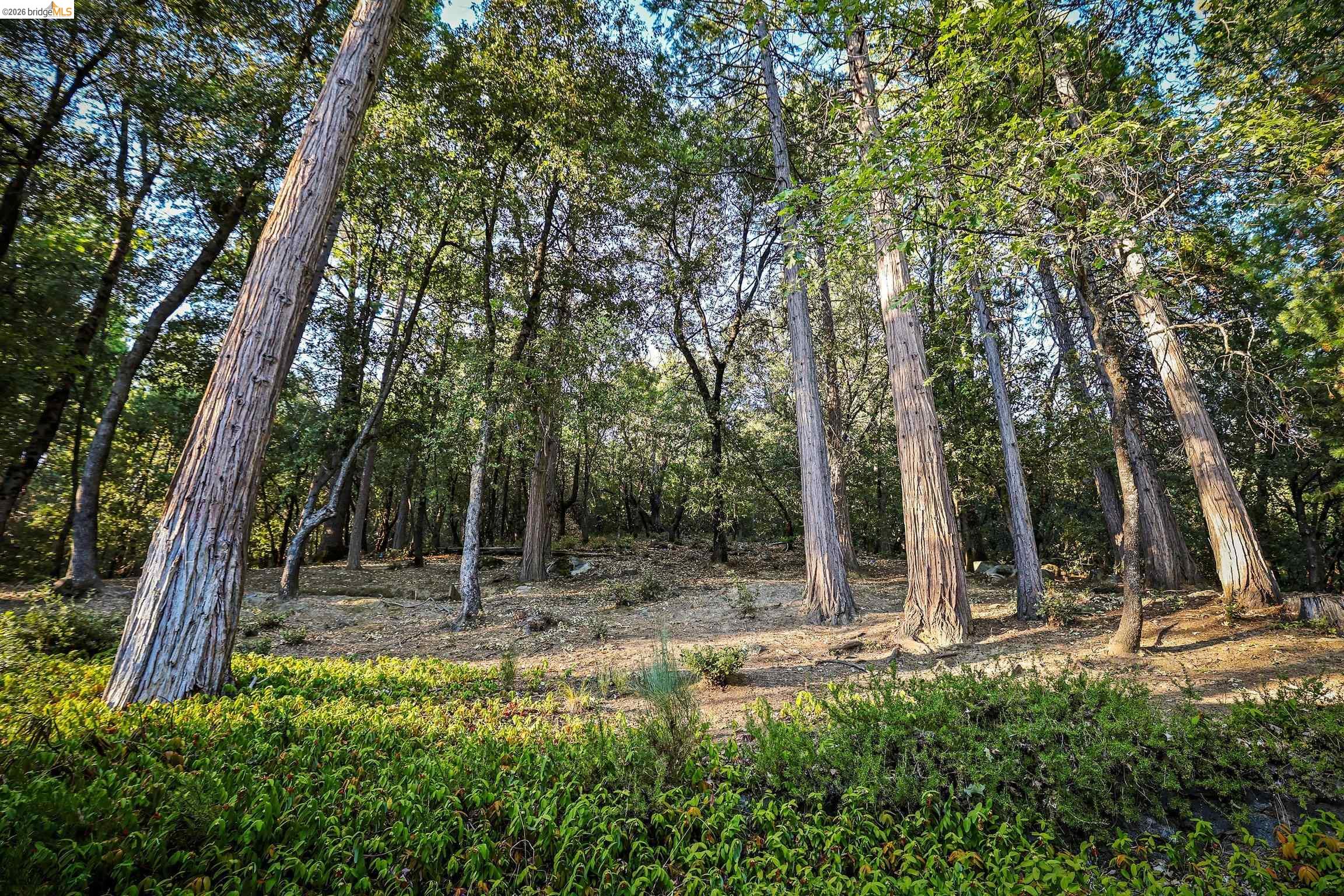 18580 Wildwood Dr, Twain Harte CA 95383 — photo 57