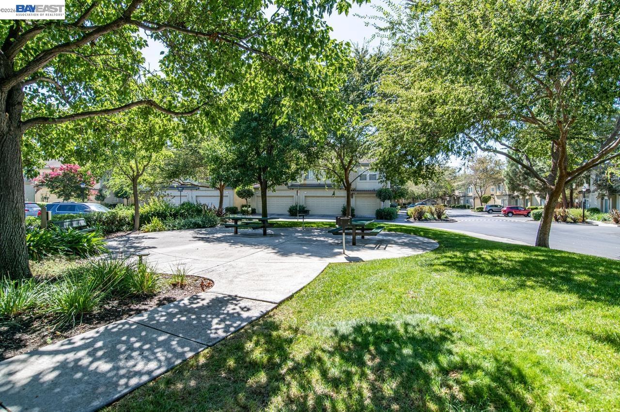 Photo #31: 41140357 Listing: Photo #31
