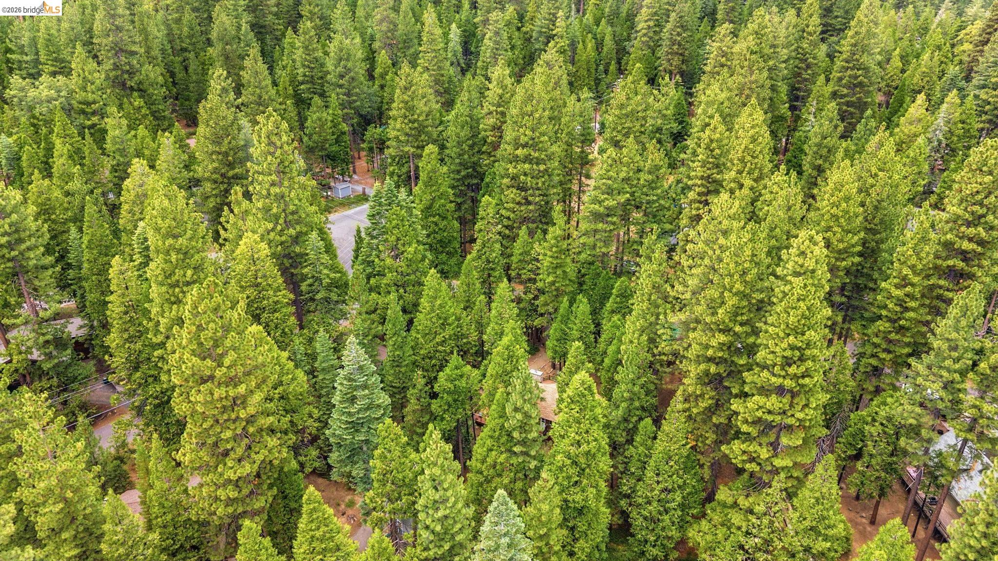 29587 Lassen Dr, Cold Springs CA 95335 — photo 27