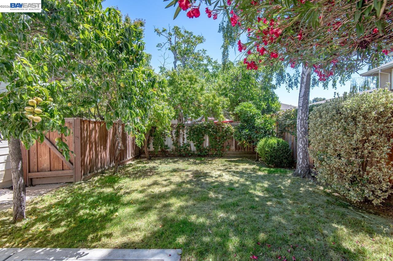 282 Del Valle Ct, Pleasanton CA 94566 — photo 50