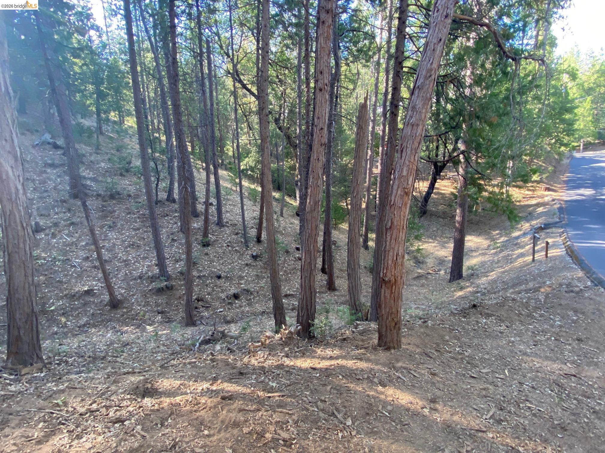 12000 Trapper, Groveland CA 95321 — photo 4