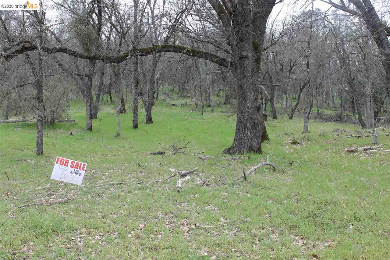 Lot52A Kebra Lane, Sonora CA 95370 — photo 3