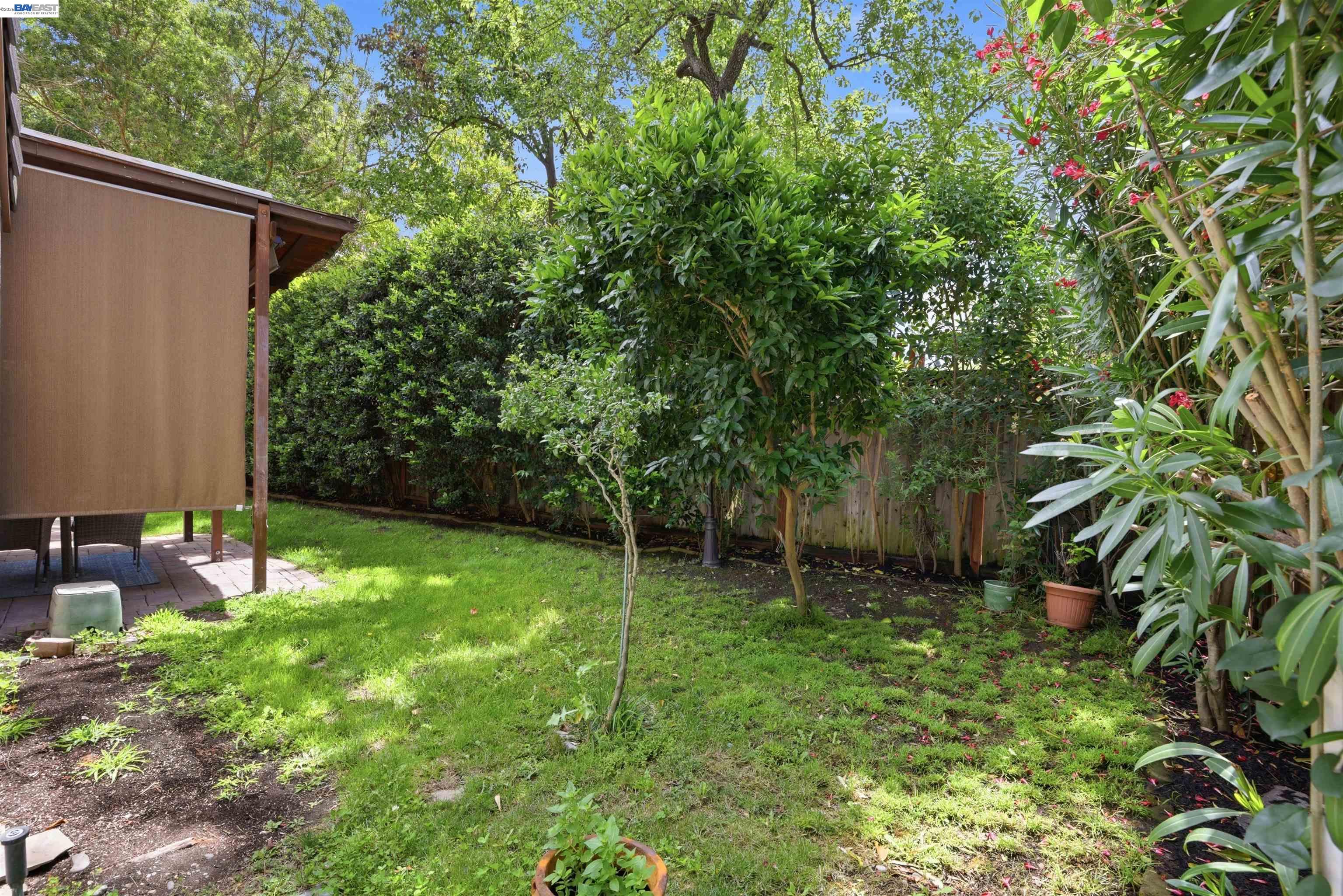 1577 Silverwood Ct, Danville CA 94526 — photo 48