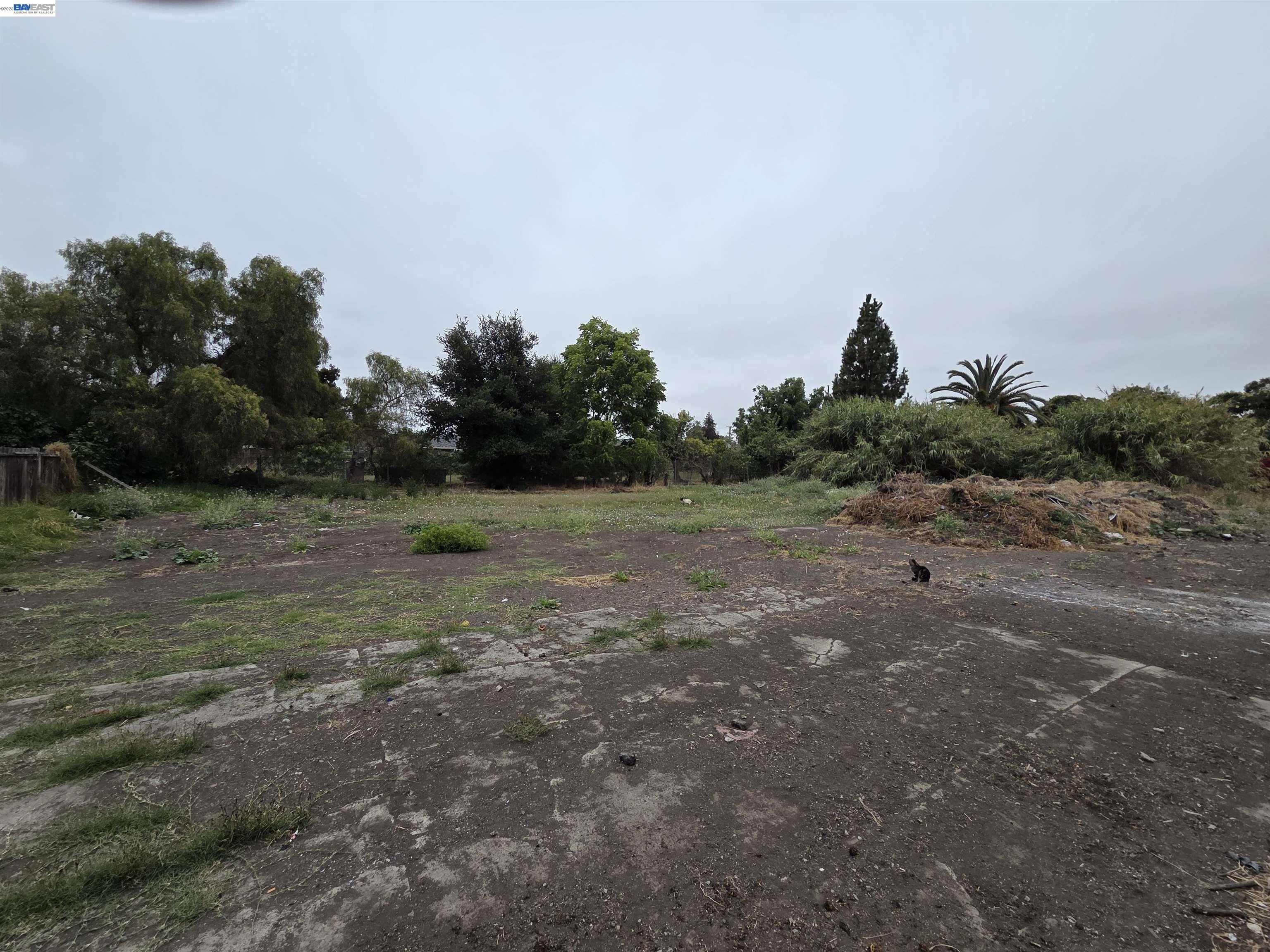 22329 S Garden Ave, Hayward CA 94541 — photo 7