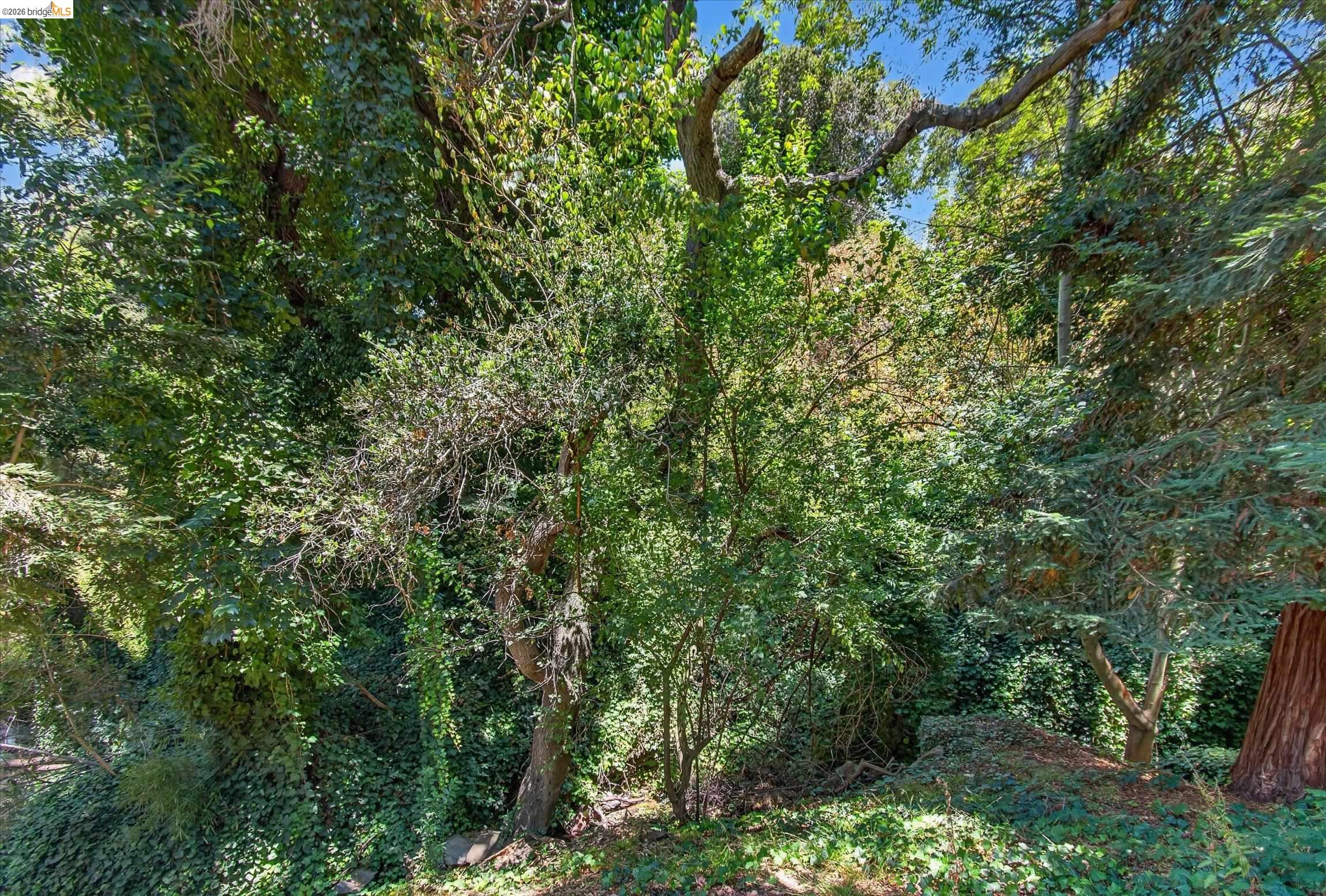 6138 Oakdale Ave, Oakland CA 94605 — photo 32