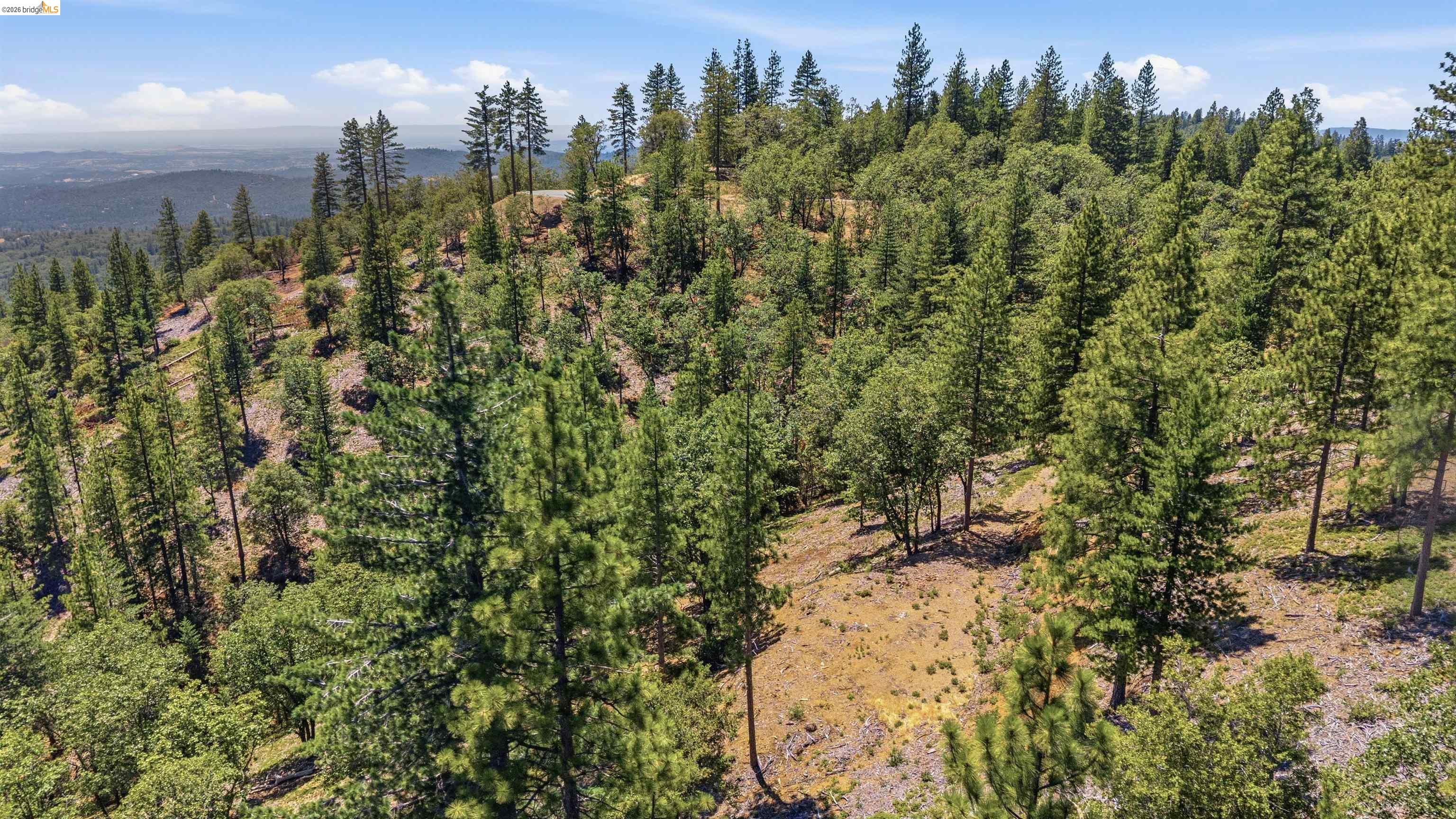 00 Old Oak Ranch Rd, Sonora CA 95370 — photo 6