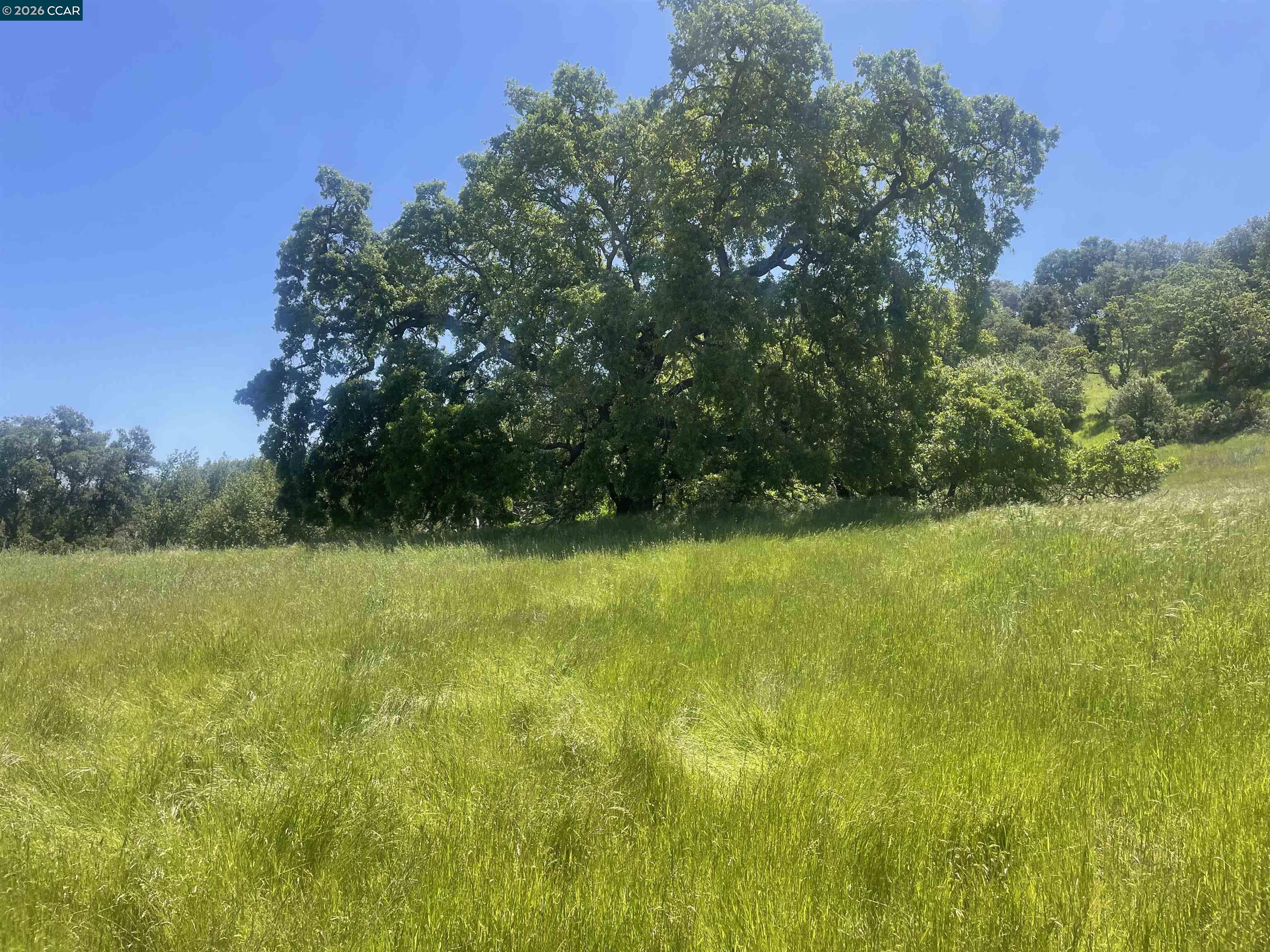 1180 Bear Creek Rd, Martinez CA 94553 — photo 2