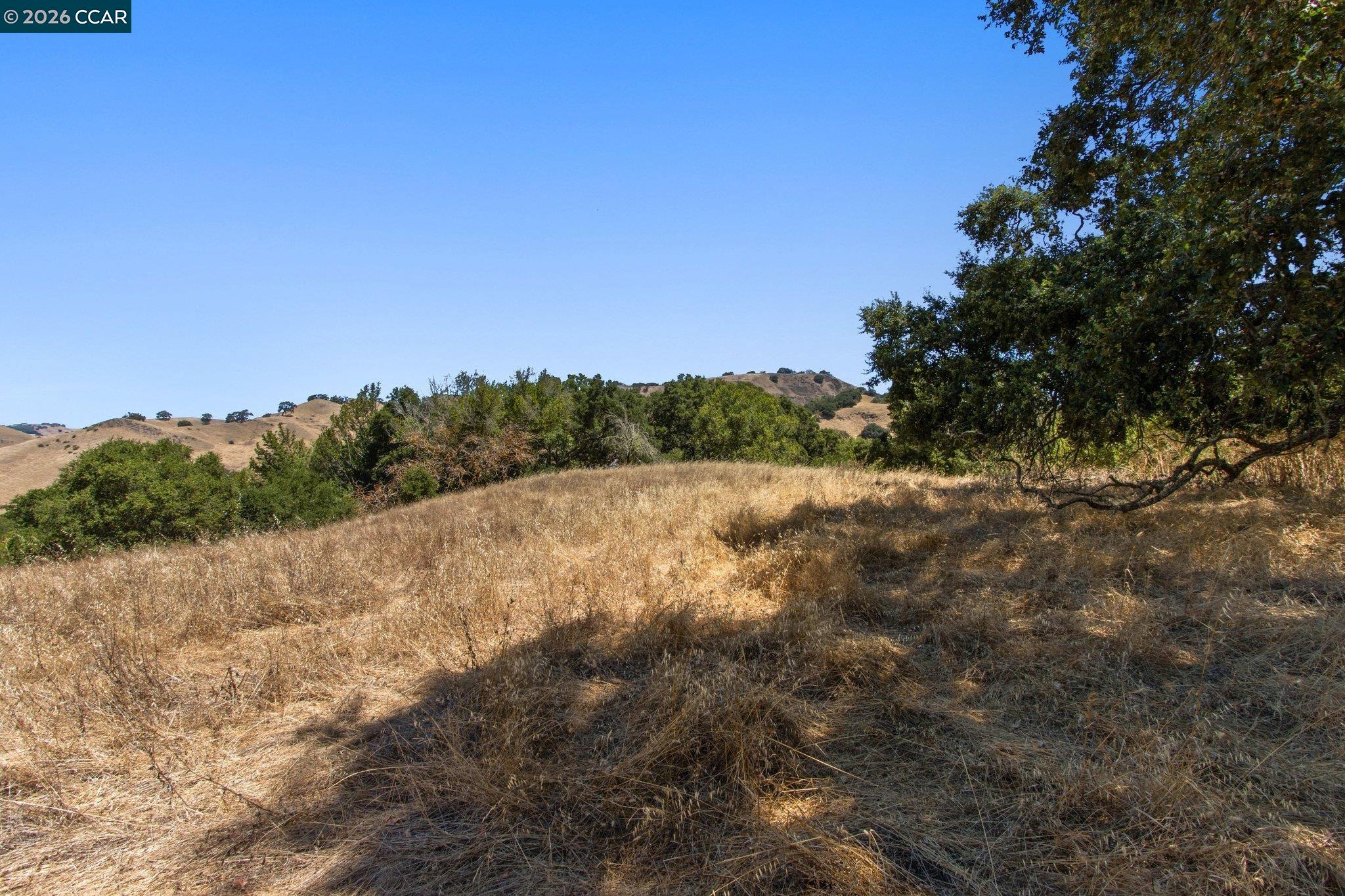 1180 Bear Creek Rd, Martinez CA 94553 — photo 24
