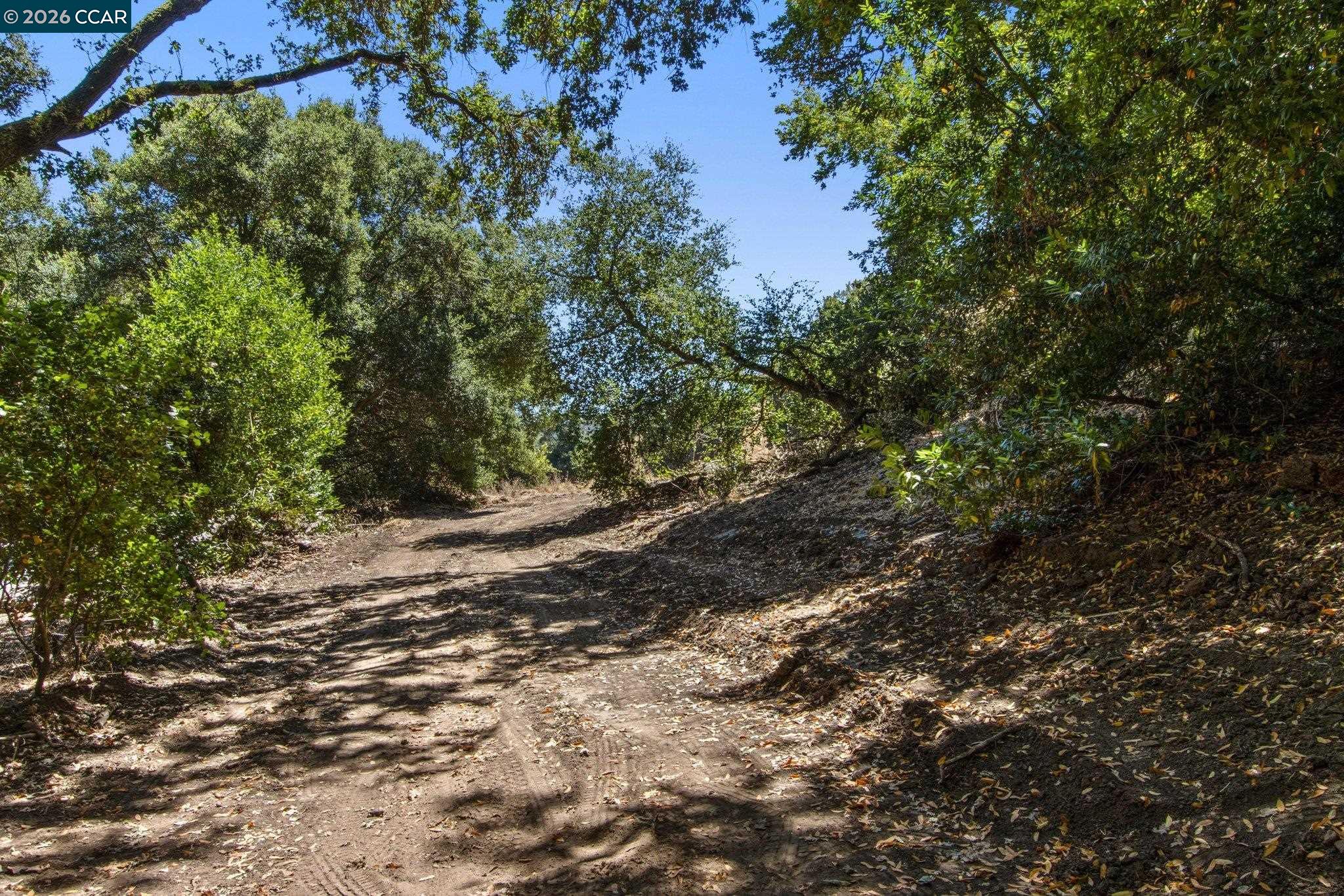 1180 Bear Creek Rd, Martinez CA 94553 — photo 31