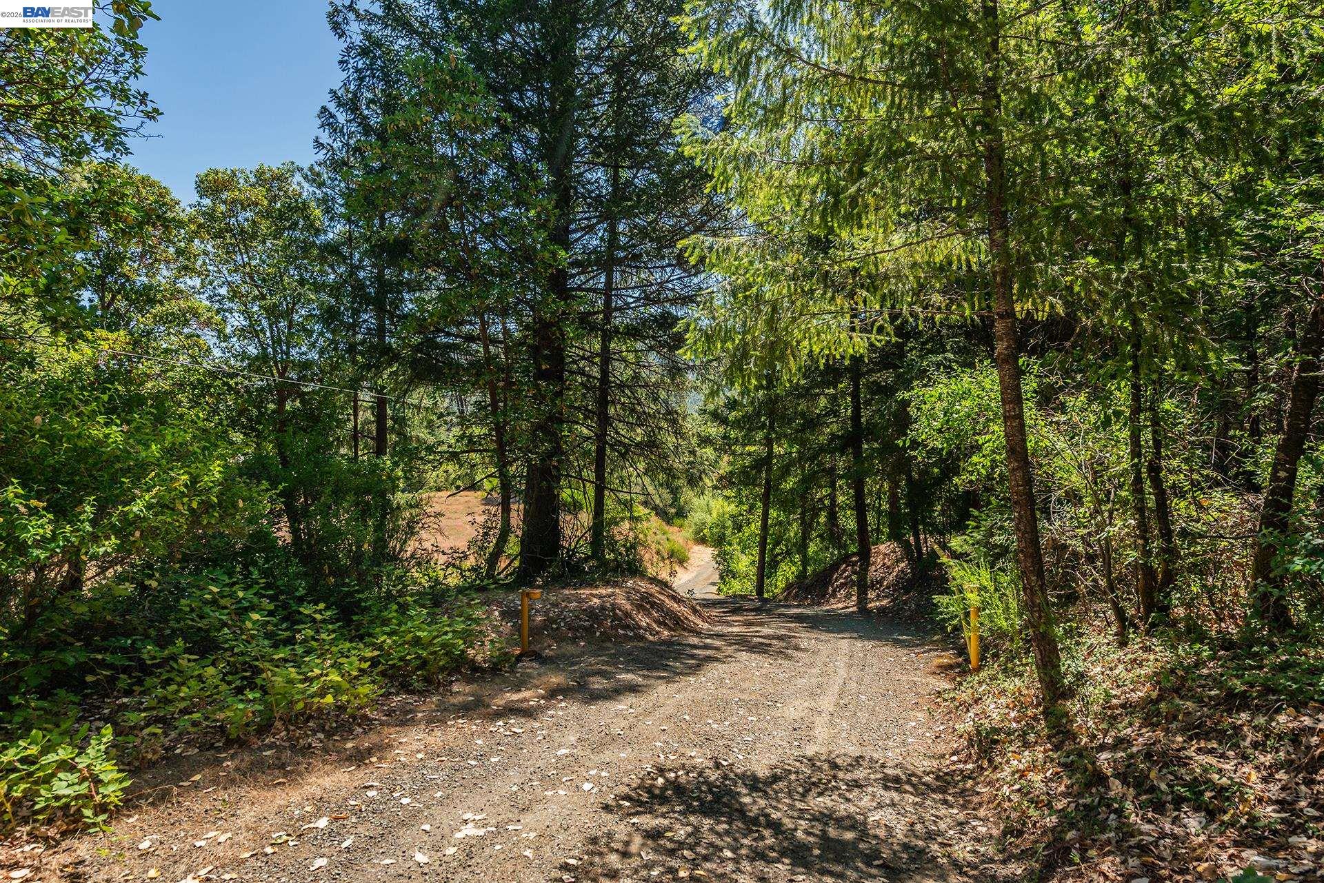 901 Dutch Creek Road, Junction City CA 96048 — photo 26