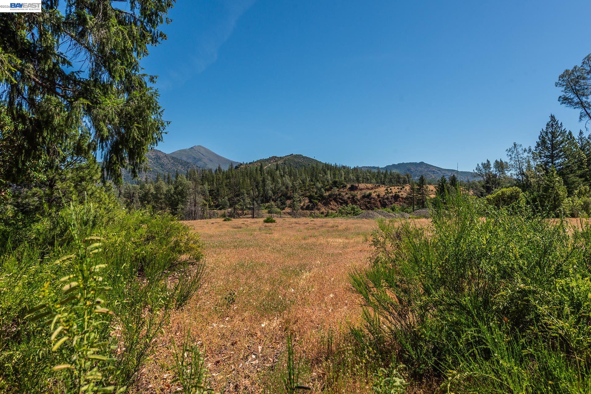 901 Dutch Creek Road, Junction City CA 96048 — photo 28