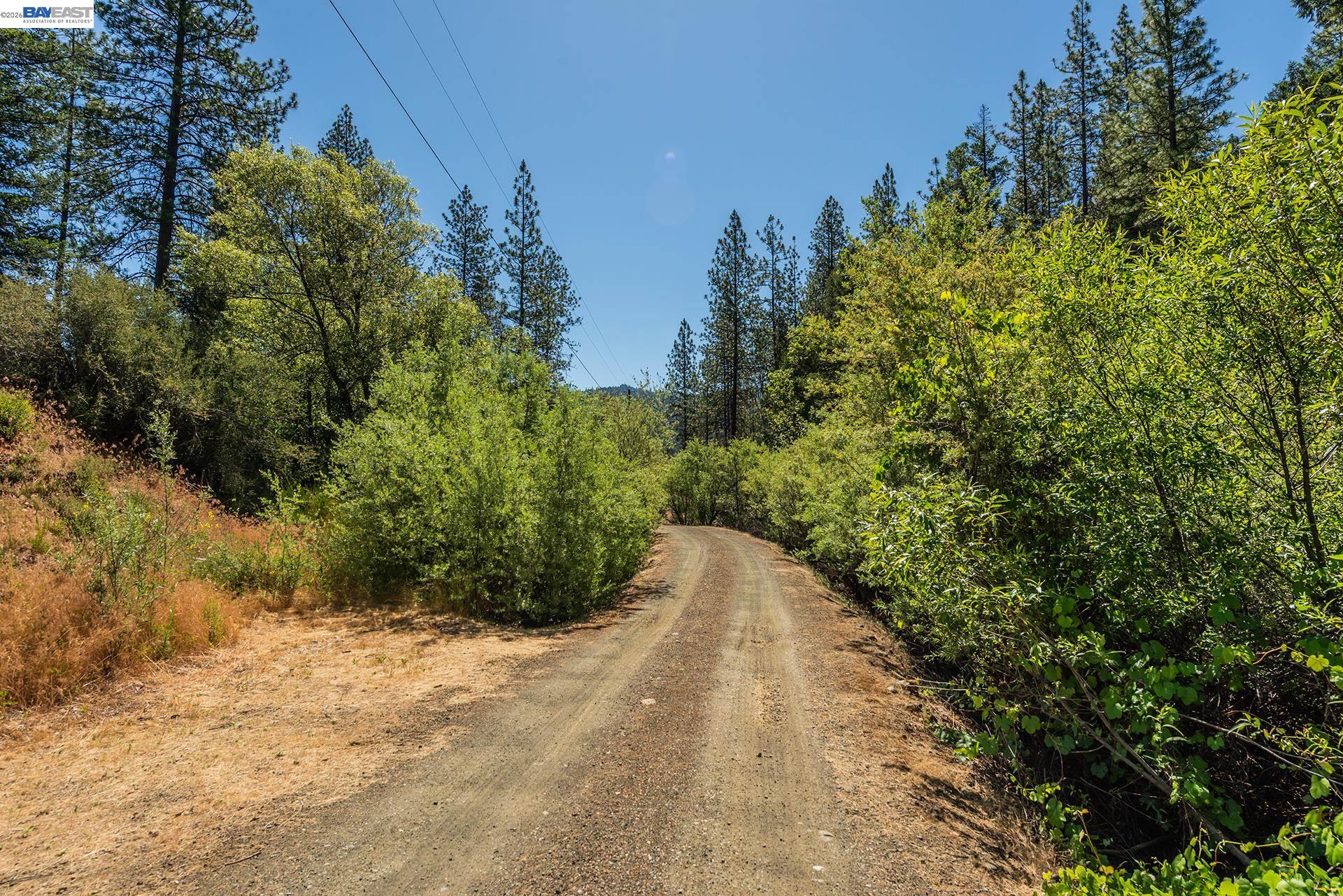 901 Dutch Creek Road, Junction City CA 96048 — photo 31