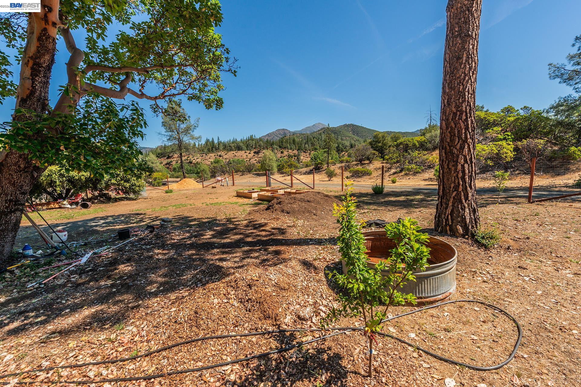 901 Dutch Creek Road, Junction City CA 96048 — photo 43