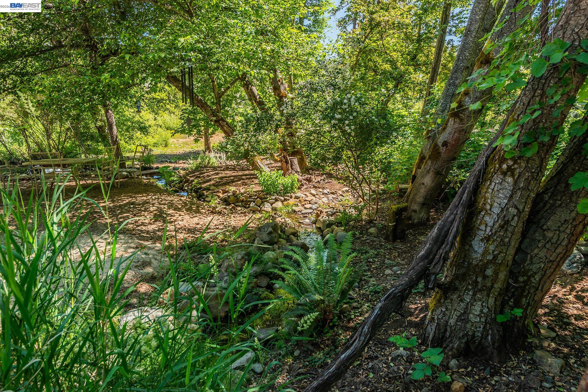 901 Dutch Creek Road, Junction City CA 96048 — photo 67
