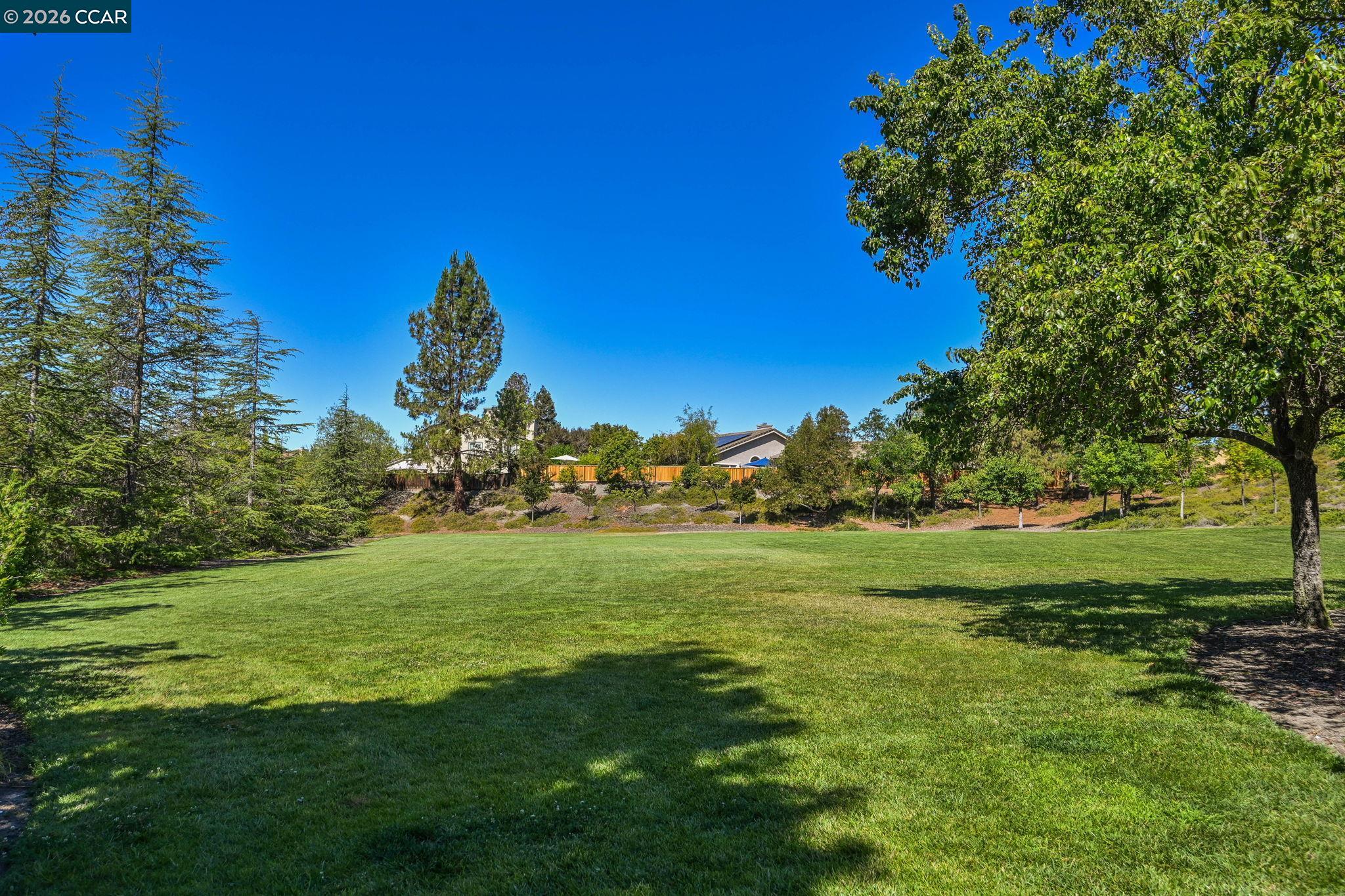 3385 Green Meadow Dr, Danville CA 94506 — photo 59