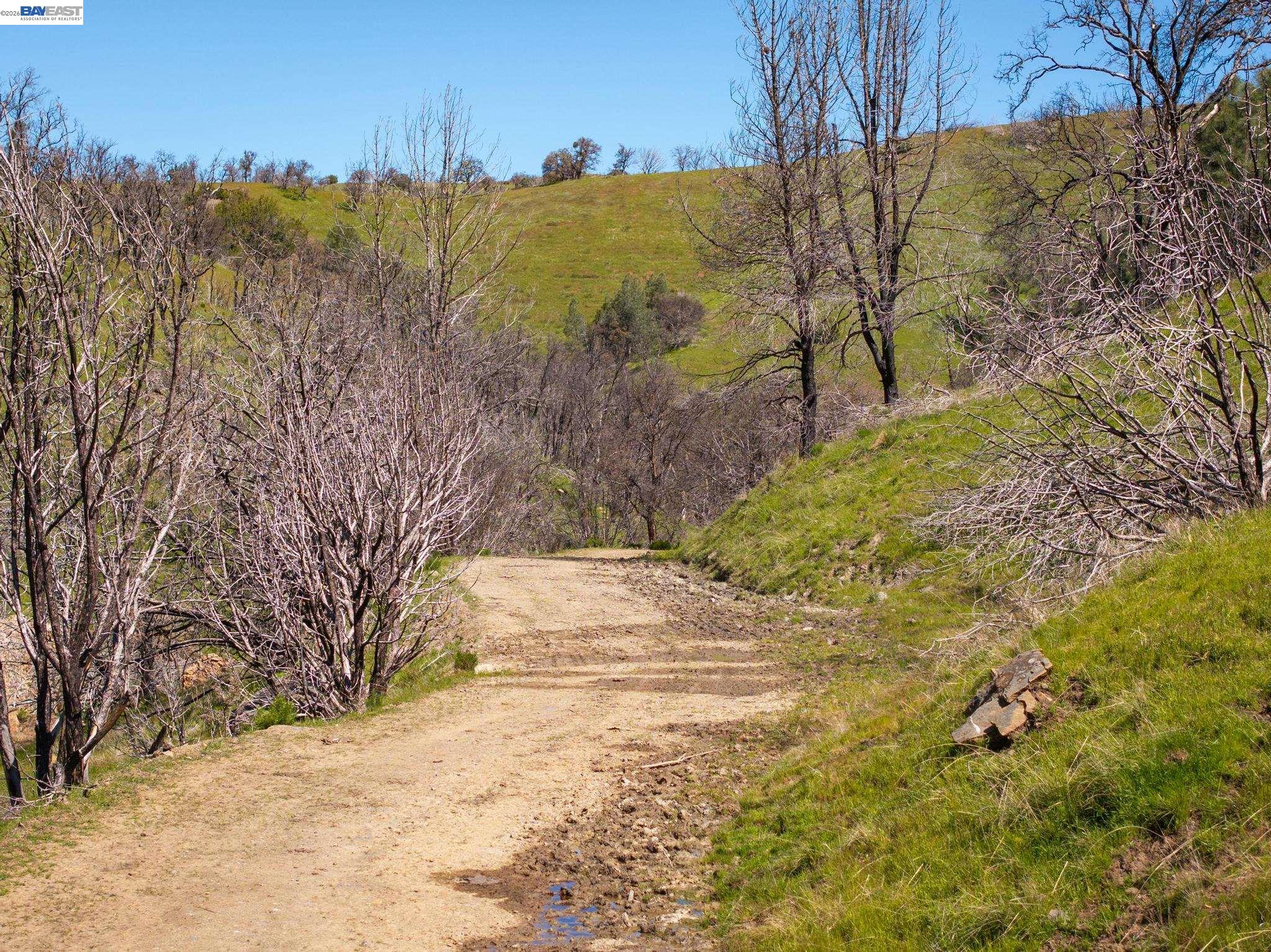15676 W Corral Hollow Rd, Tracy CA 95377 — photo 14
