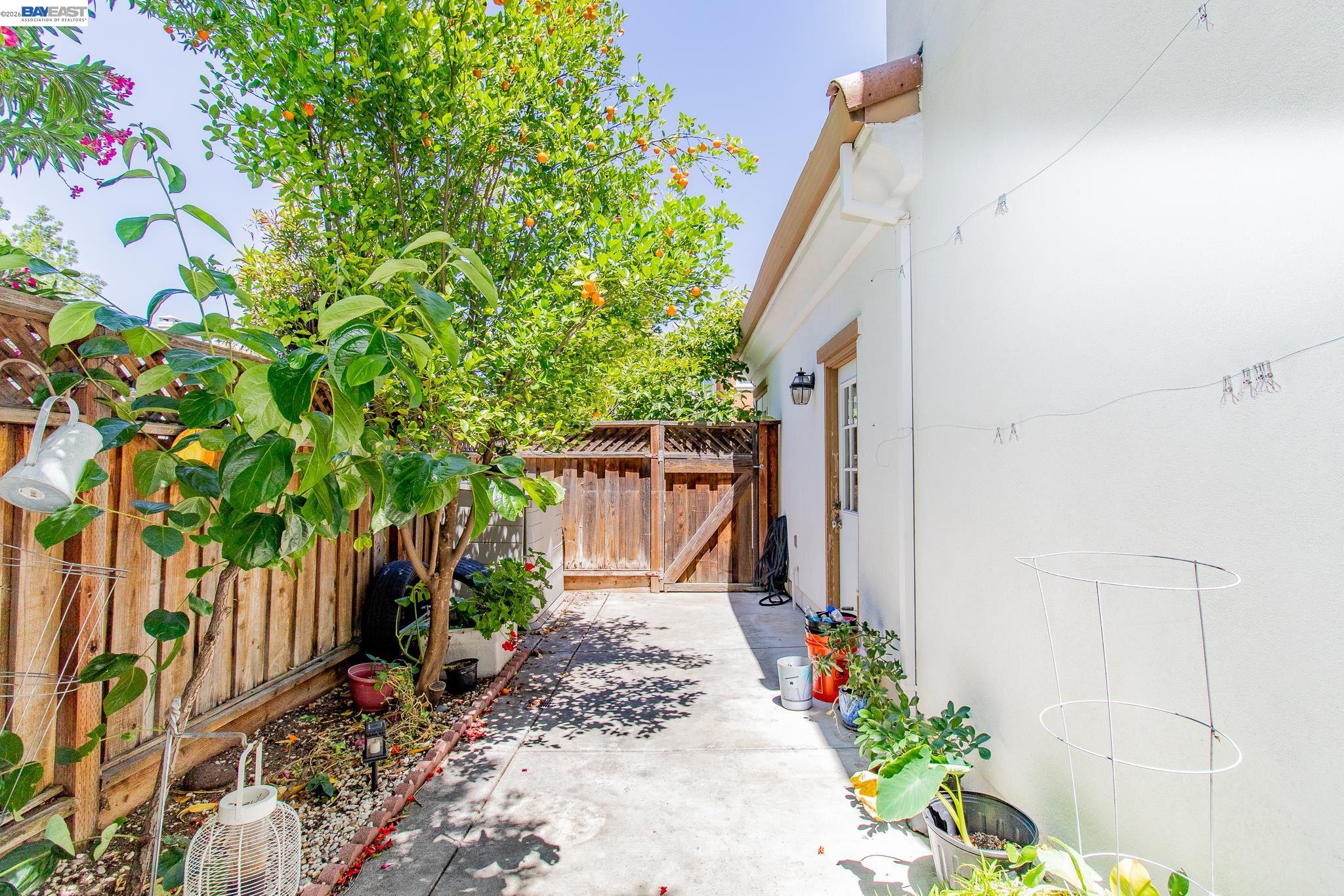 98 W Atento Ln, Mountain House CA 95391 — photo 28