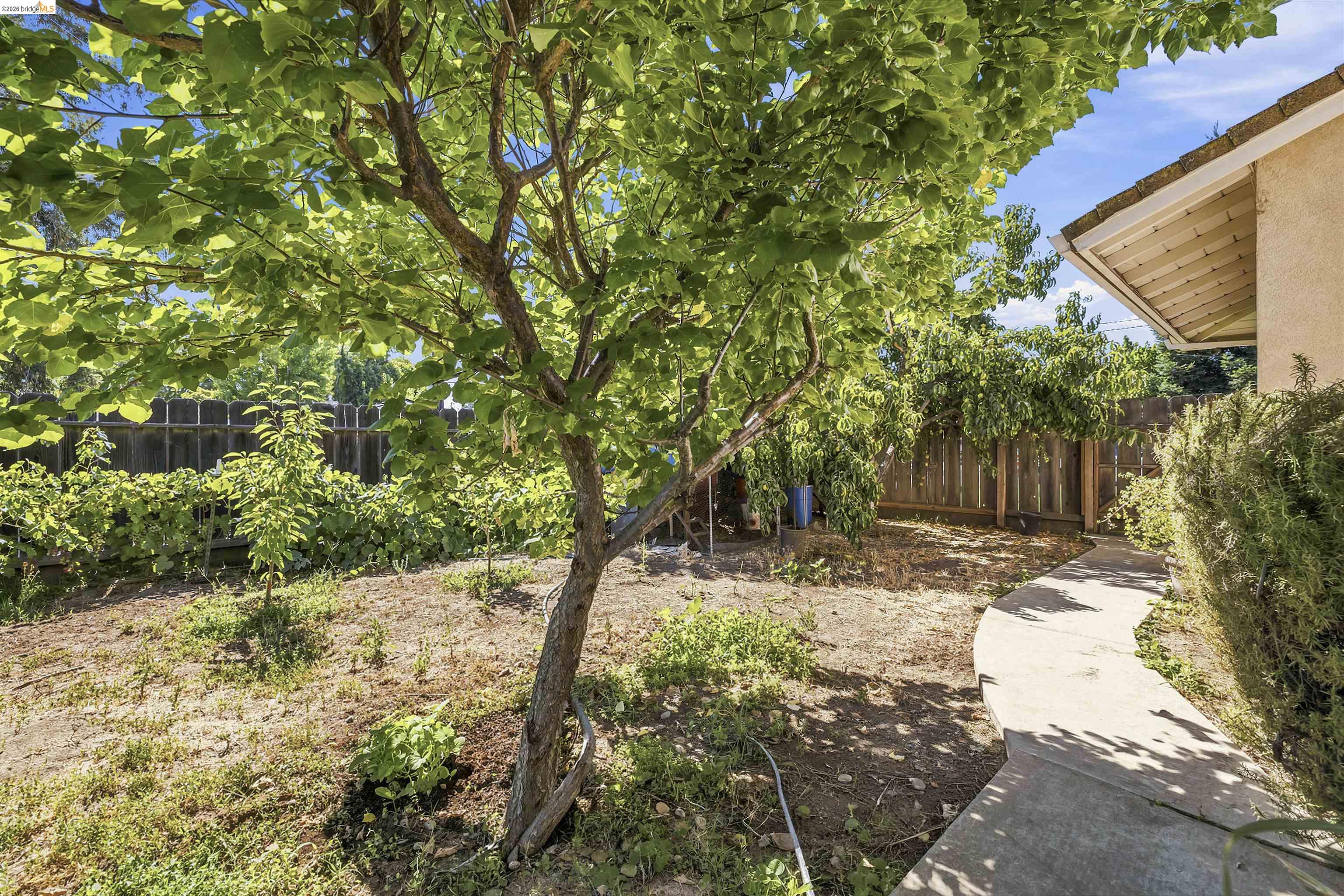 1042 Walnut St, Oakdale, CA 95361 photo 26