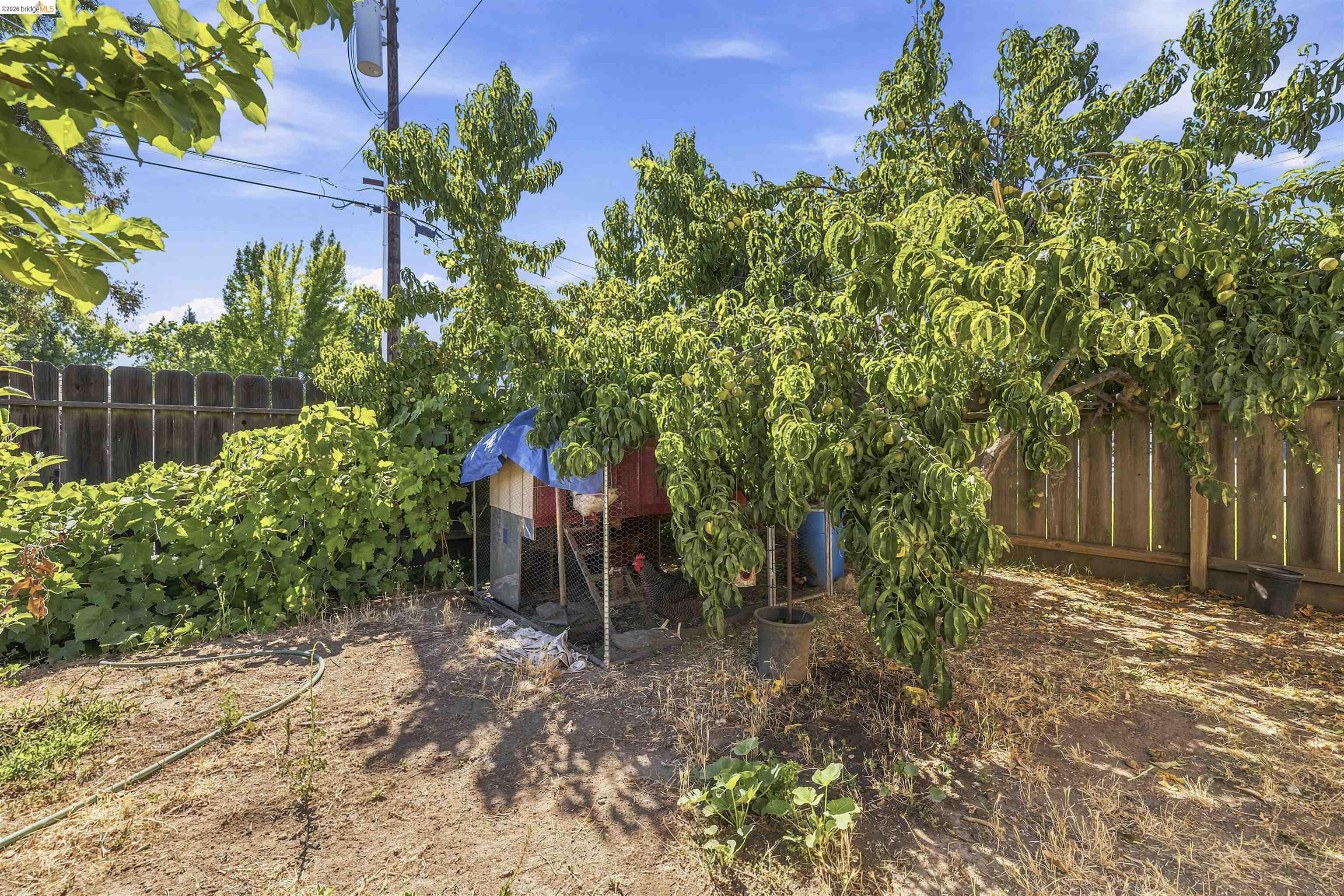 1042 Walnut St, Oakdale, CA 95361 photo 27