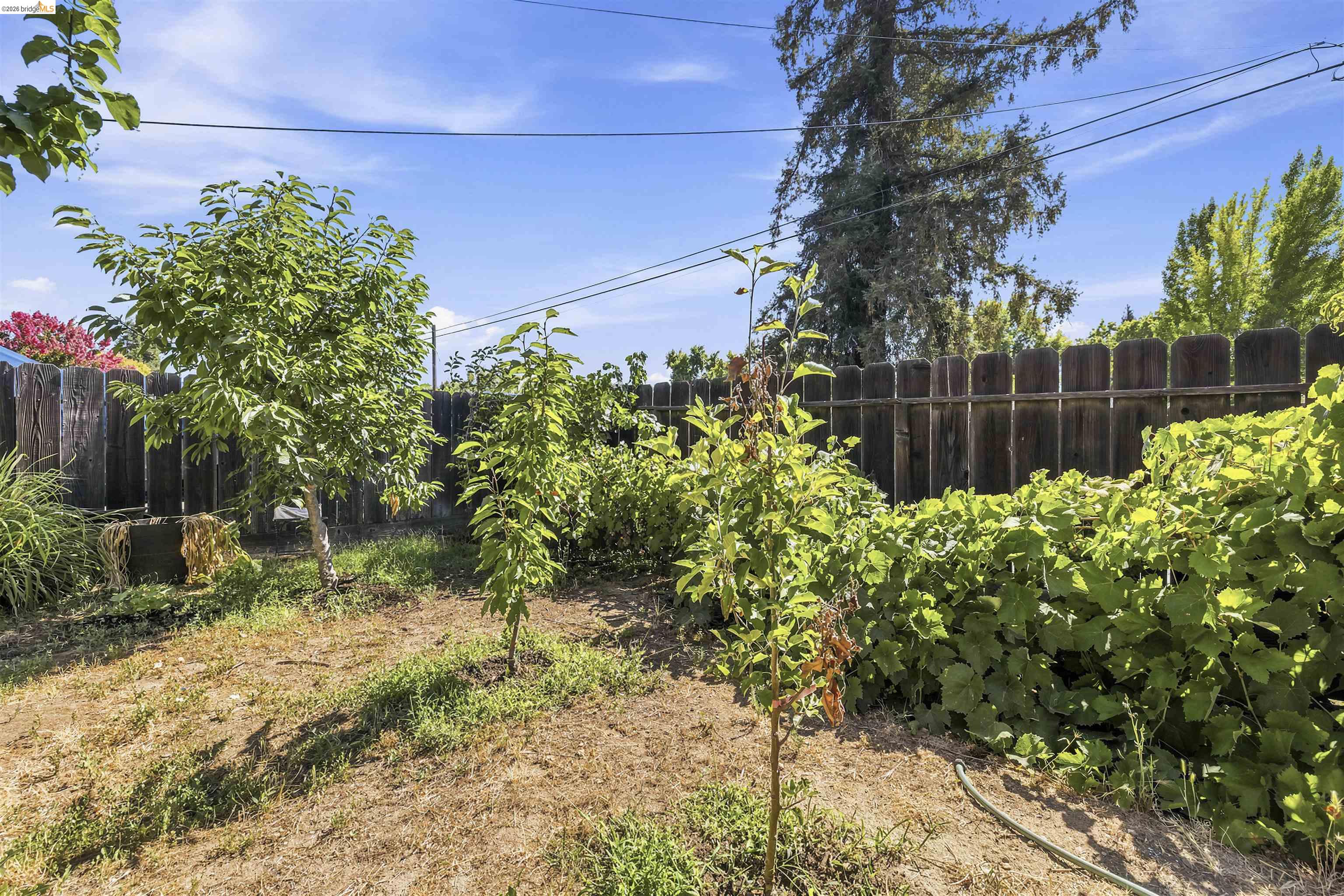 1042 Walnut St, Oakdale, CA 95361 photo 28