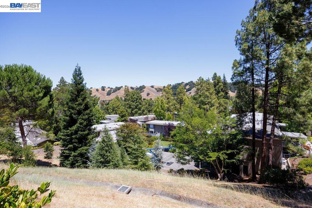 2520 Ptarmigan # 1, Walnut Creek CA 94595 — photo 43