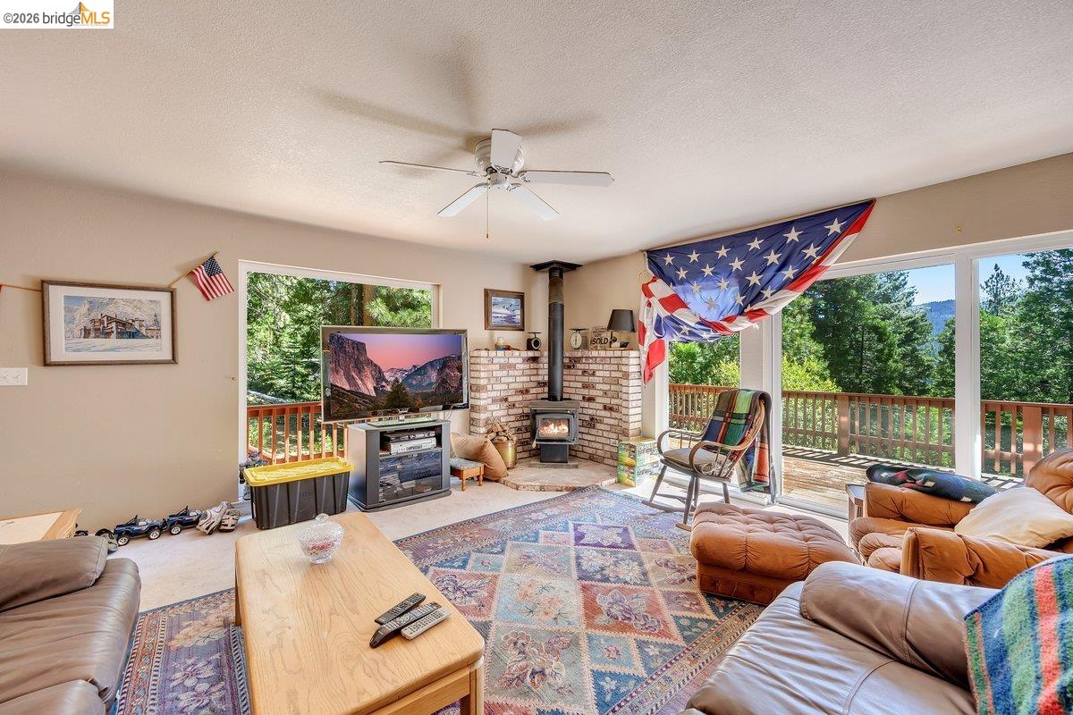 29338 Shasta Dr, Cold Springs CA 95335 — photo 11