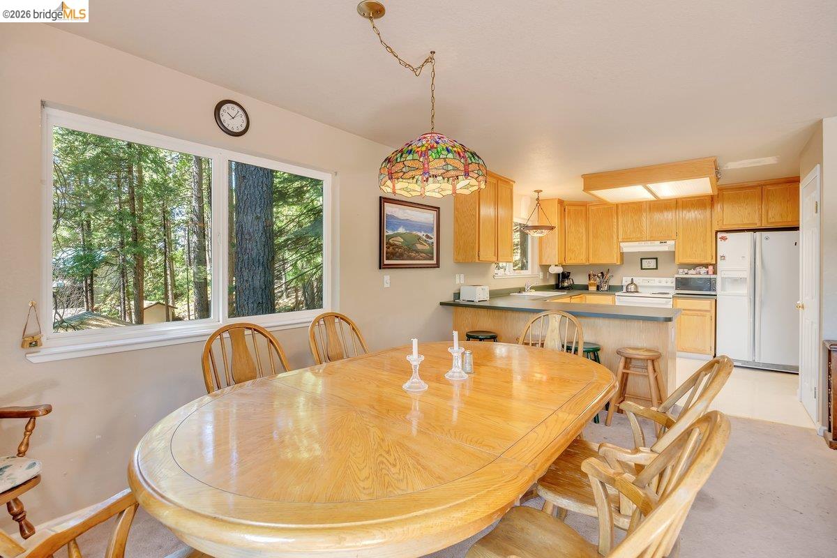 29338 Shasta Dr, Cold Springs CA 95335 — photo 14