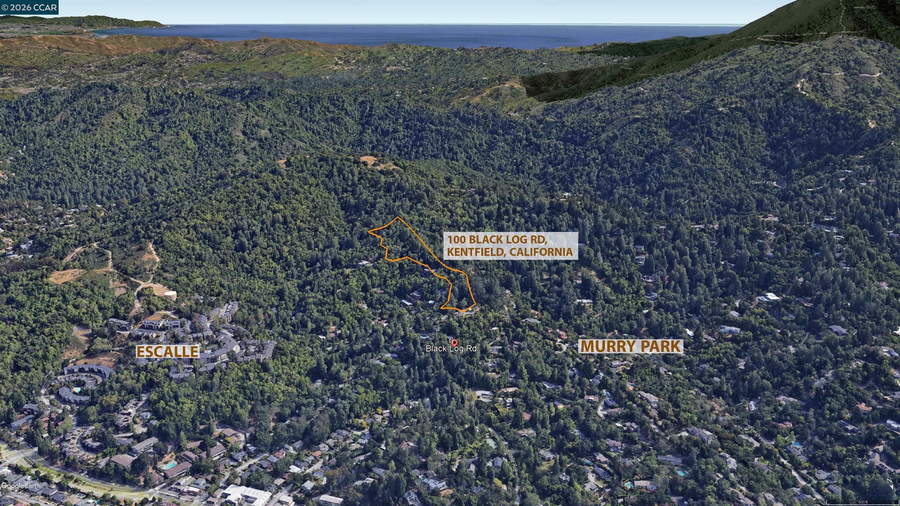 100 Black Log Rd, Kentfield CA 94904 — photo 12