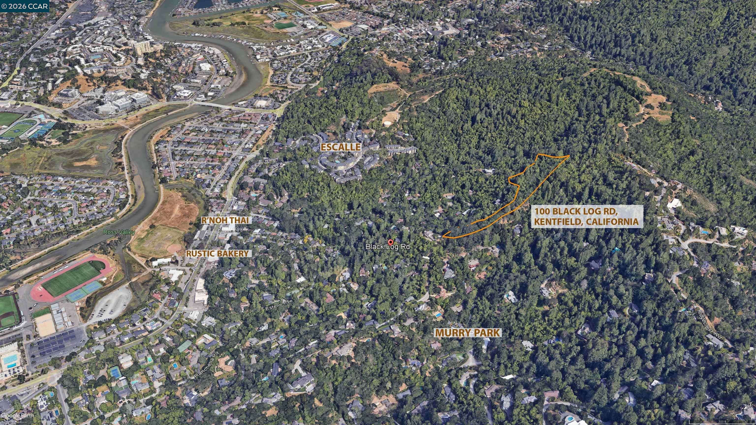 100 Black Log Rd, Kentfield CA 94904 — photo 15