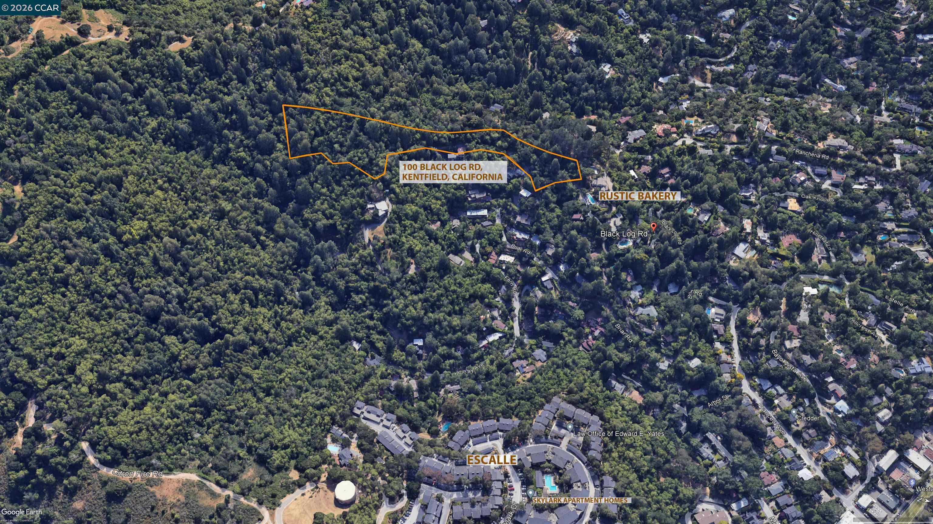 100 Black Log Rd, Kentfield CA 94904 — photo 16
