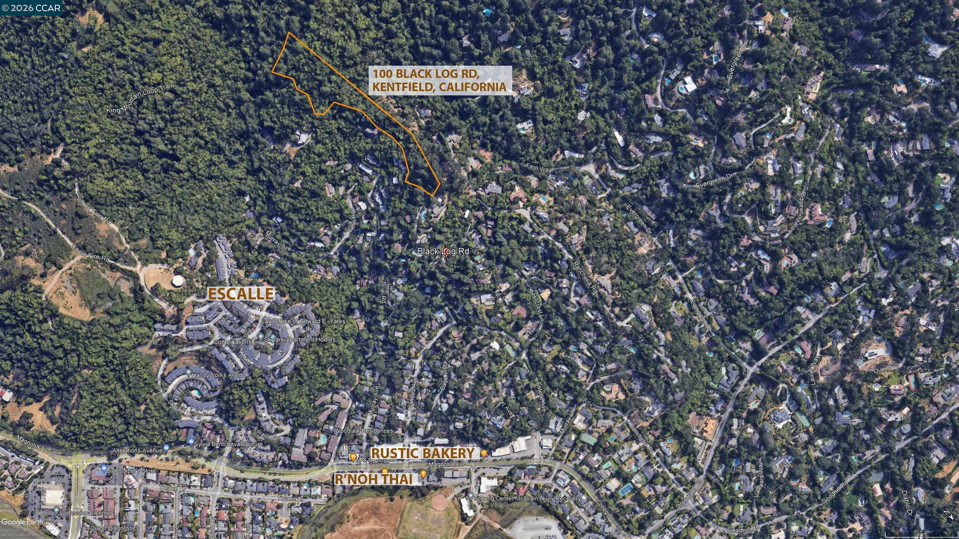 100 Black Log Rd, Kentfield CA 94904 — photo 17