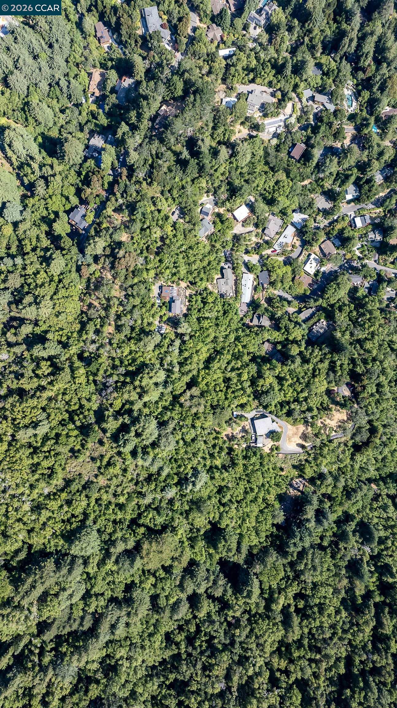 100 Black Log Rd, Kentfield CA 94904 — photo 18