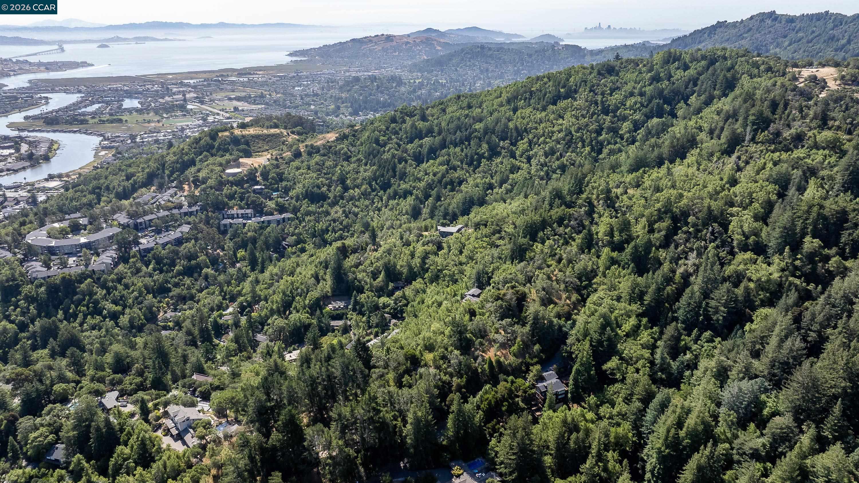 100 Black Log Rd, Kentfield CA 94904 — photo 21
