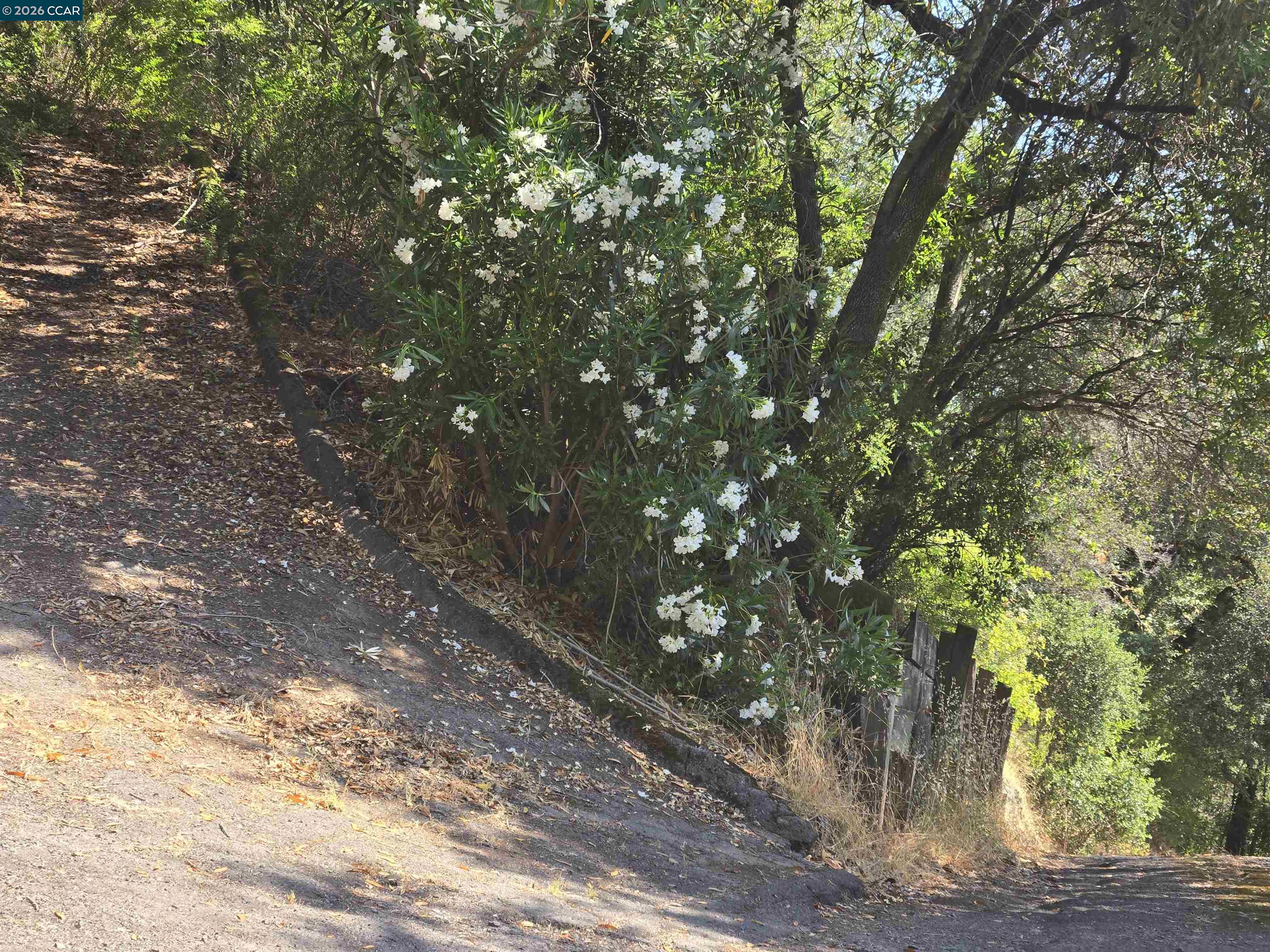 100 Black Log Rd, Kentfield CA 94904 — photo 6