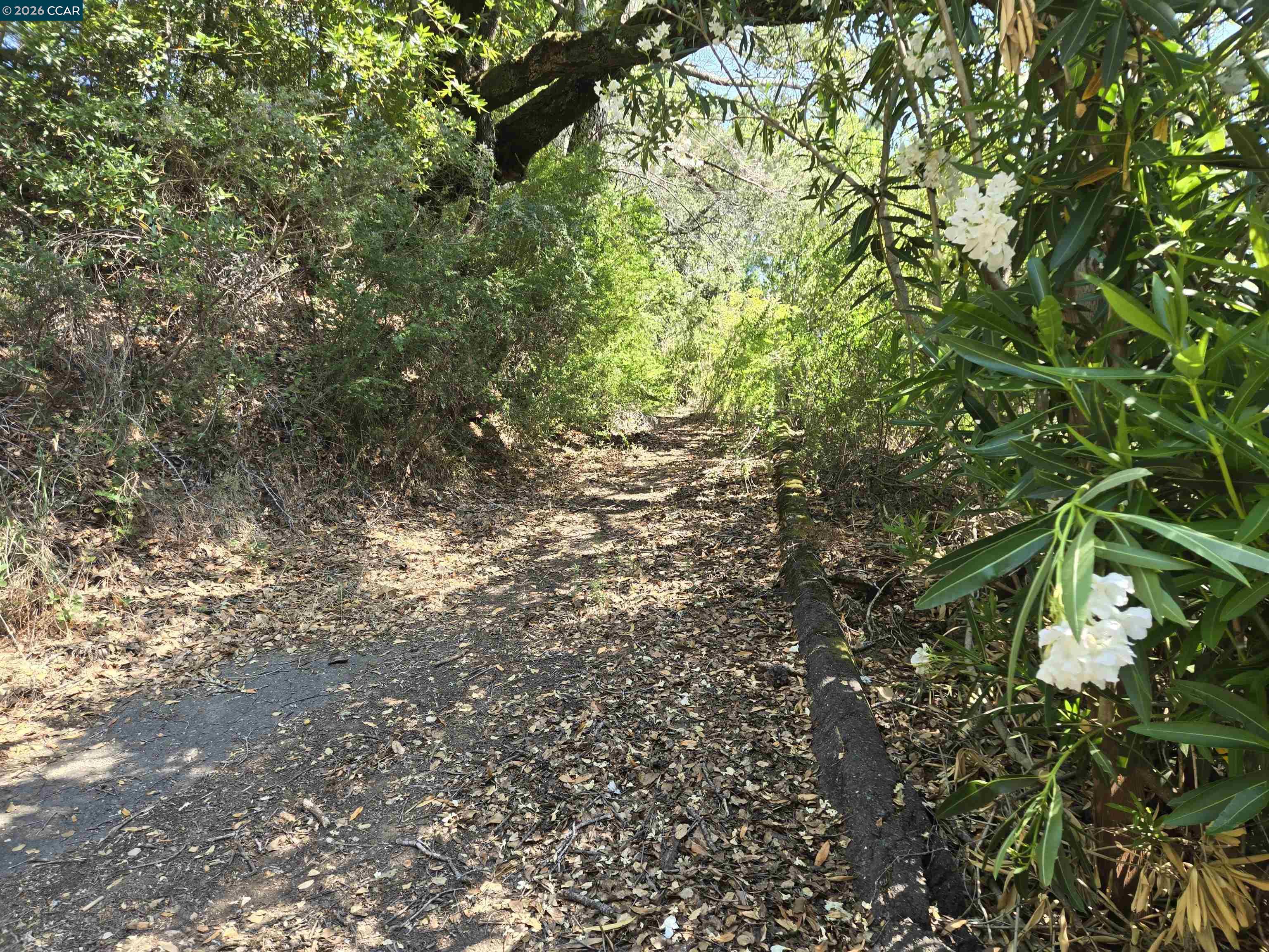 100 Black Log Rd, Kentfield CA 94904 — photo 7