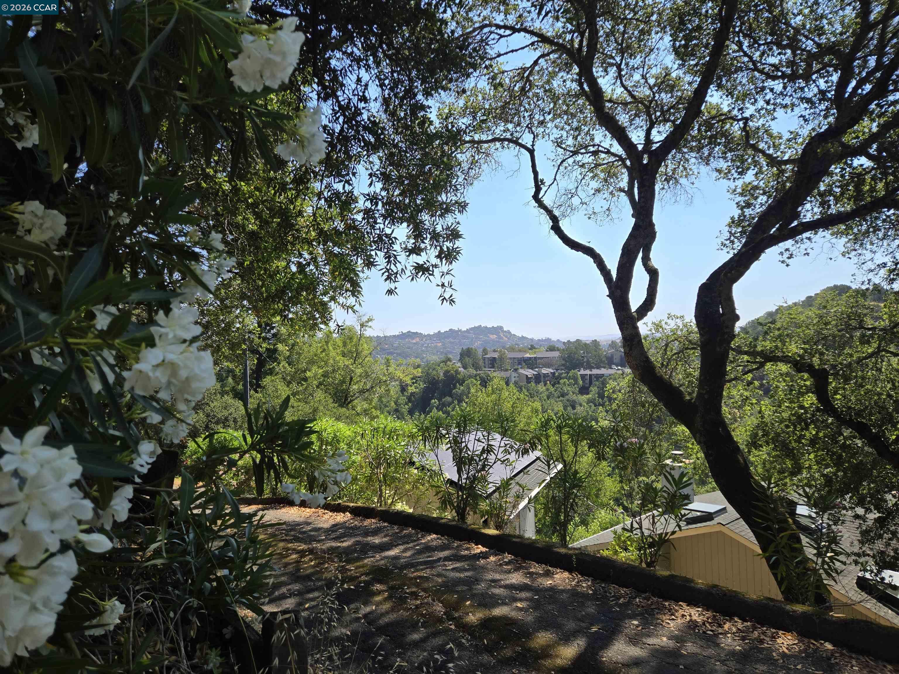 100 Black Log Rd, Kentfield CA 94904 — photo 8