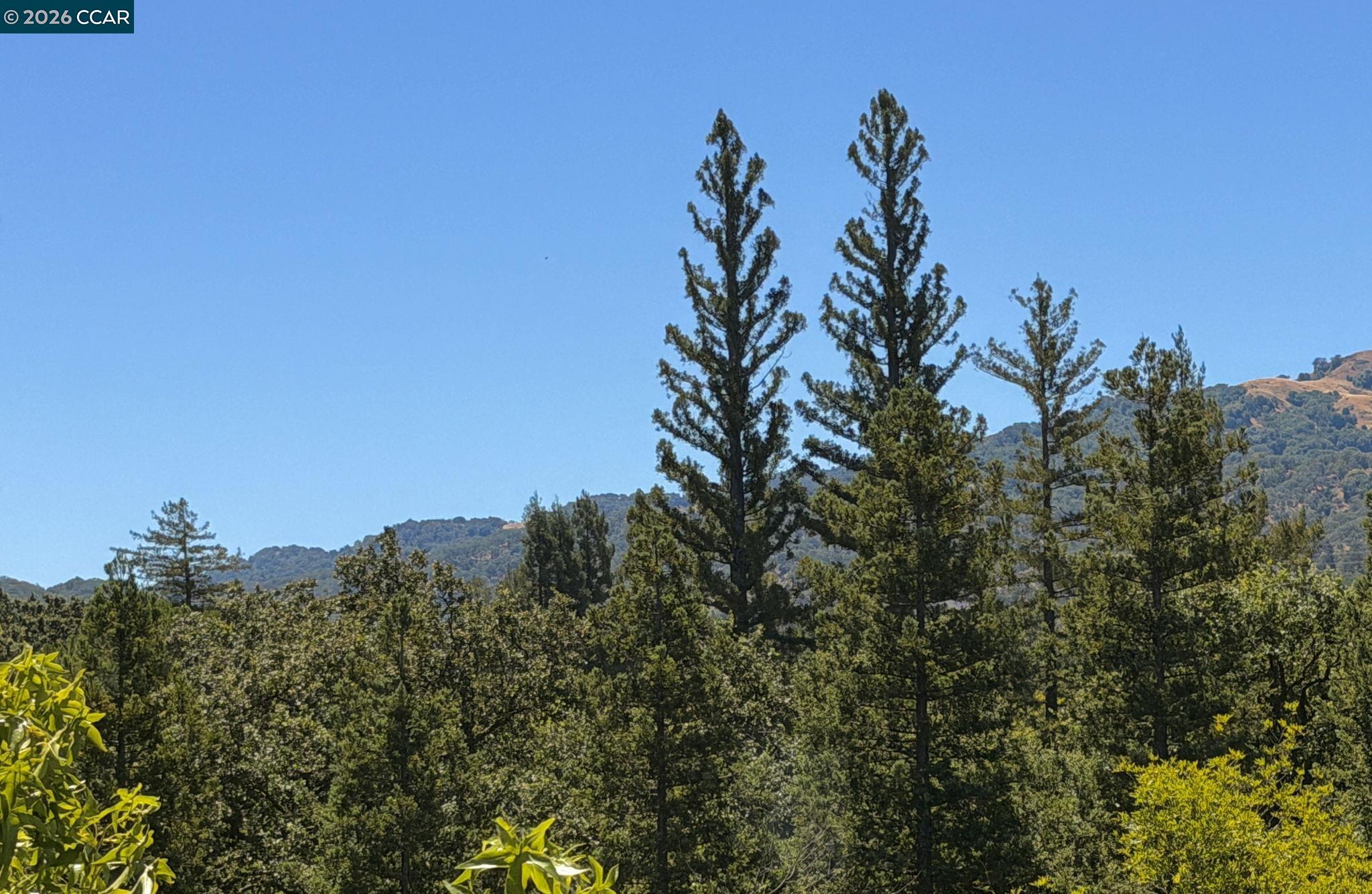 Tice Creek Dr. — photo 7