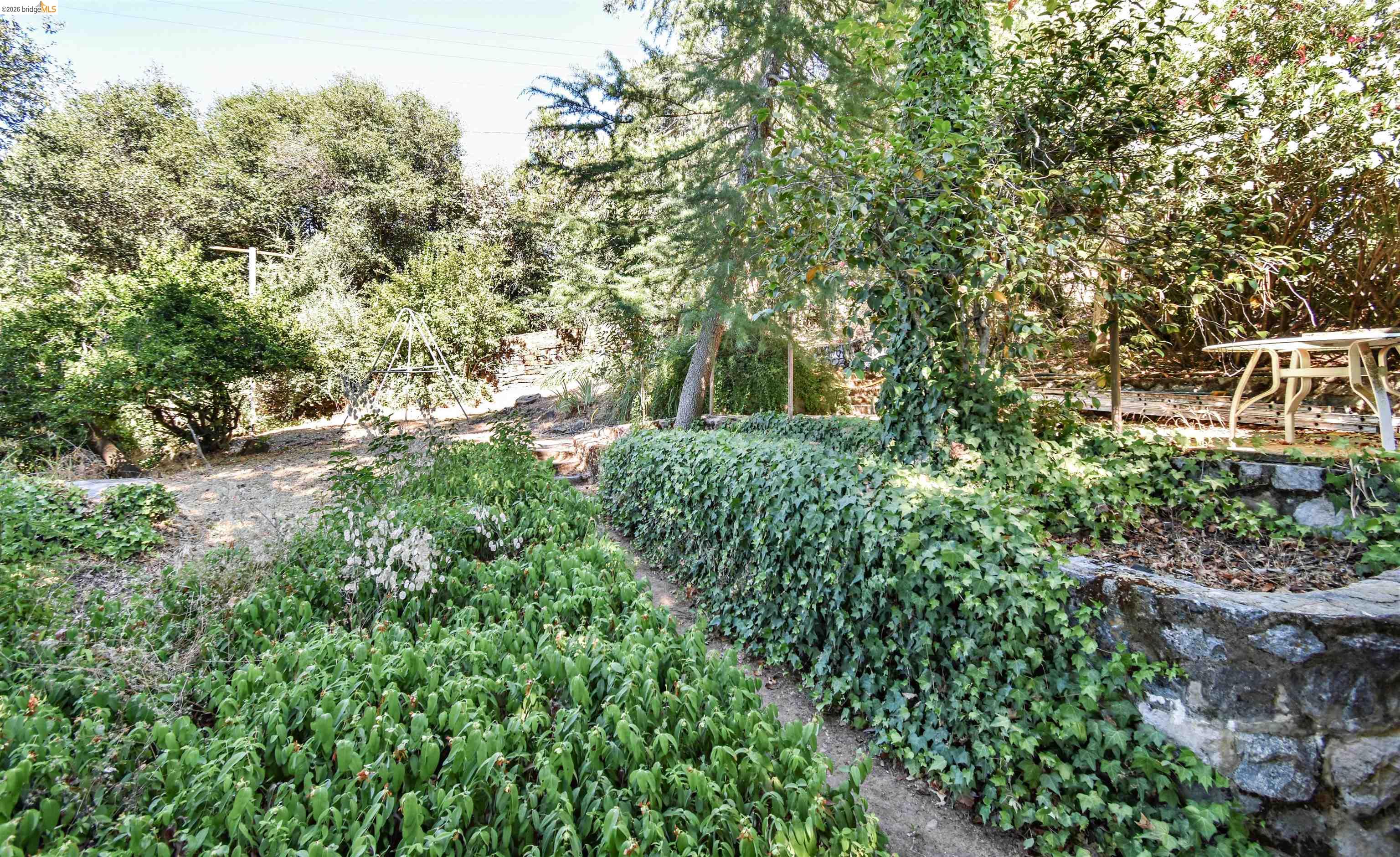 541 S Shepherd St, Sonora CA 95370 — photo 31